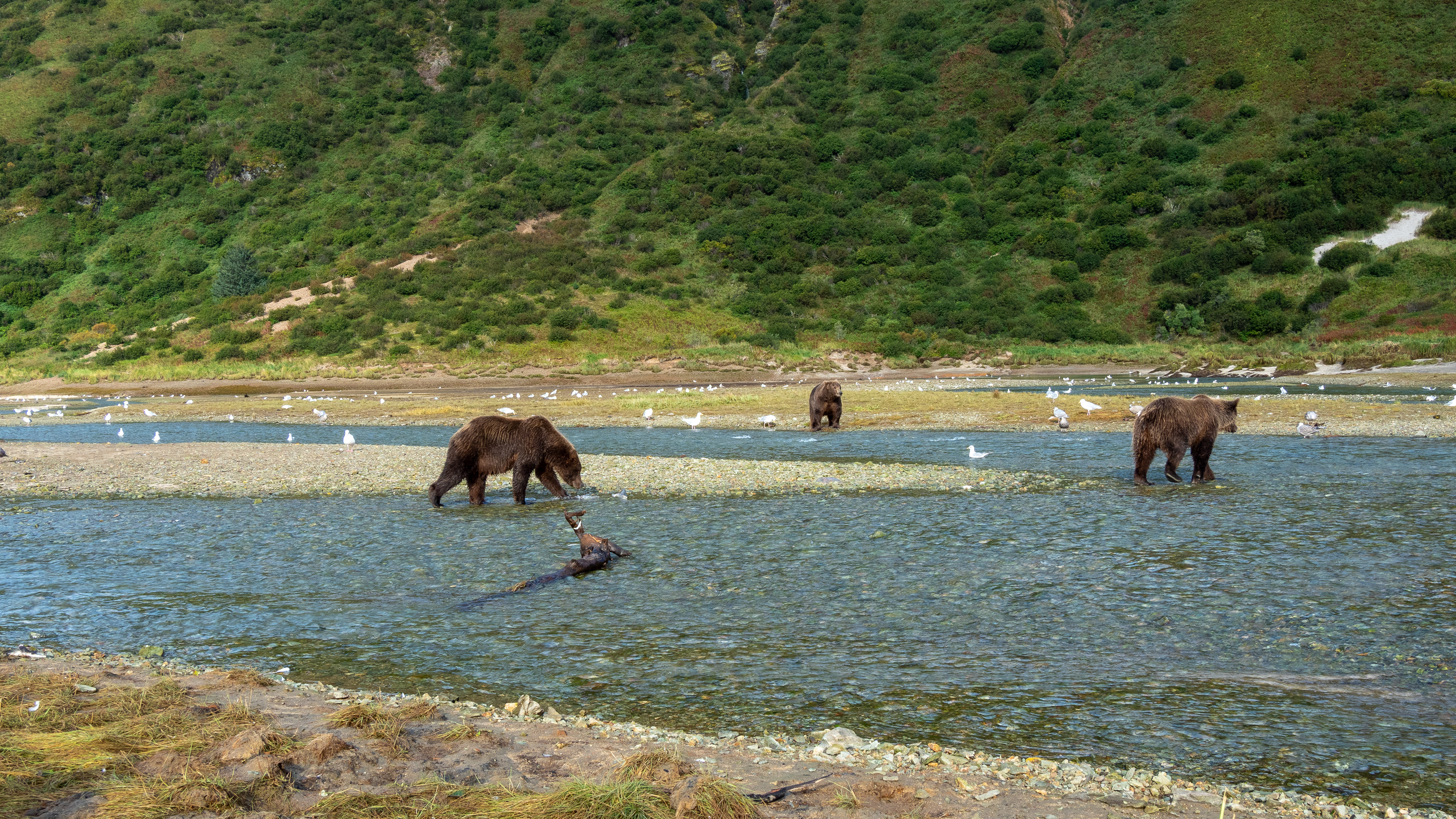 Eating, fishing, strolling