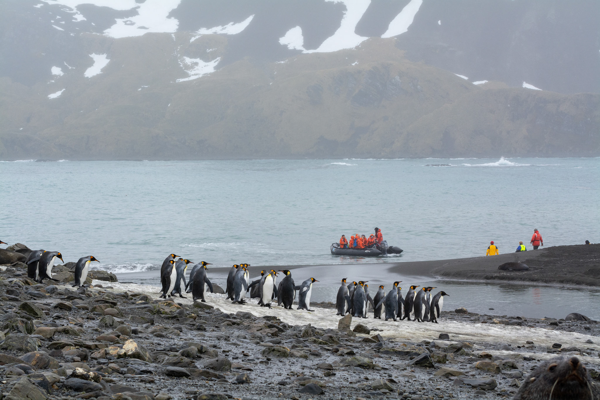 Kings- Right Whale Bay