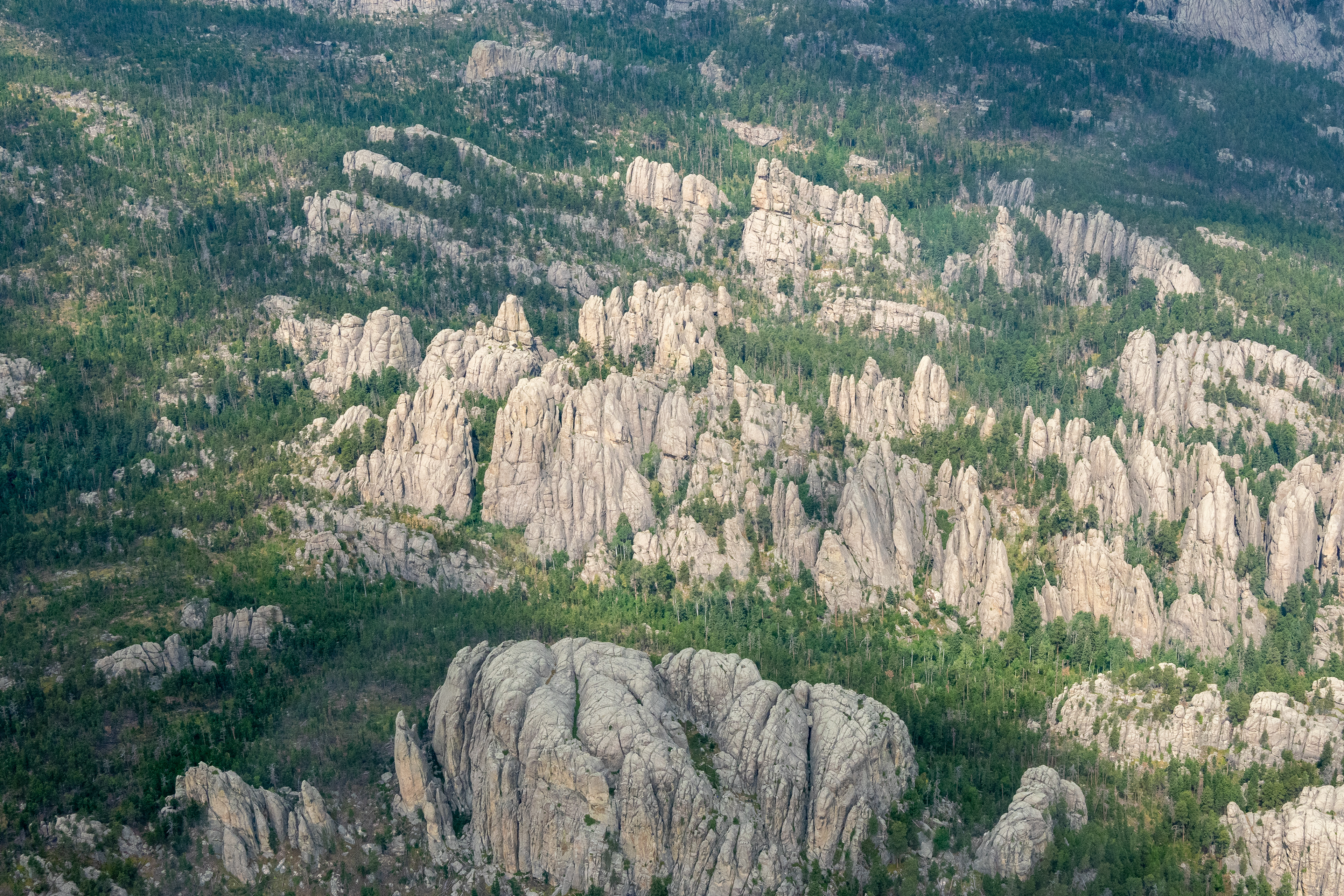 The Needles- Black Hills Custer State Park