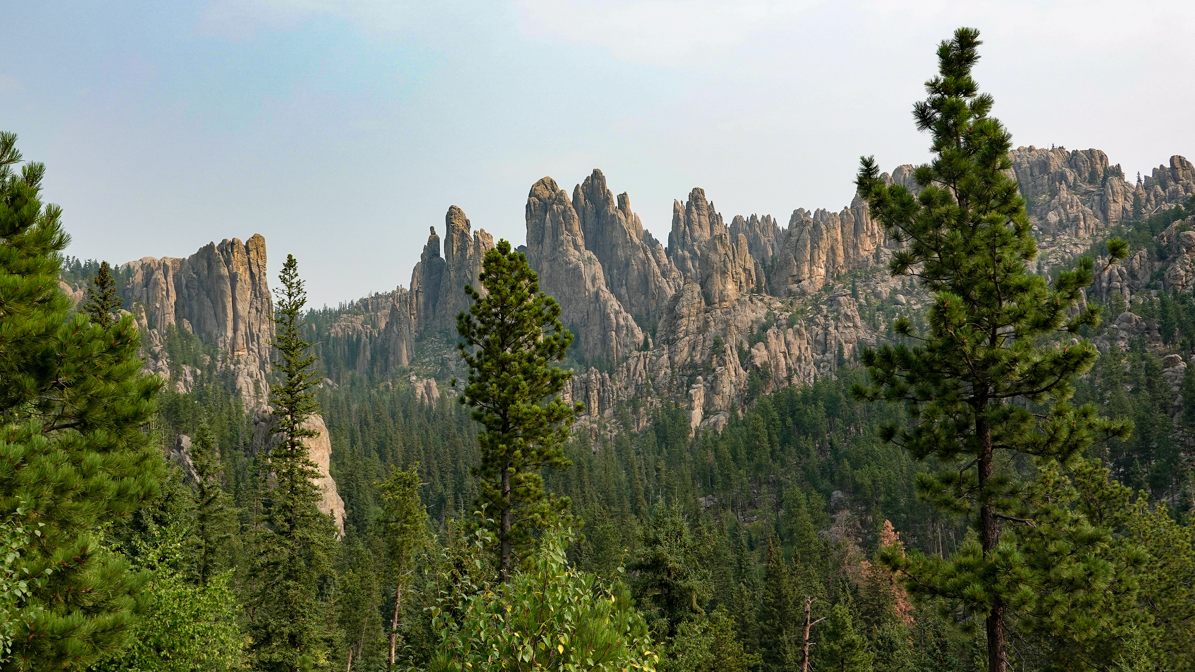 The Needles- Black Hills Custer State Park