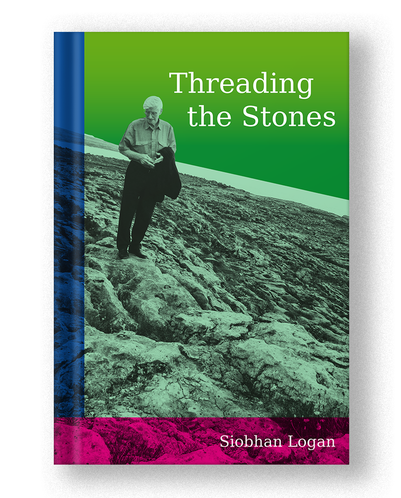 Cauldron Bog Books