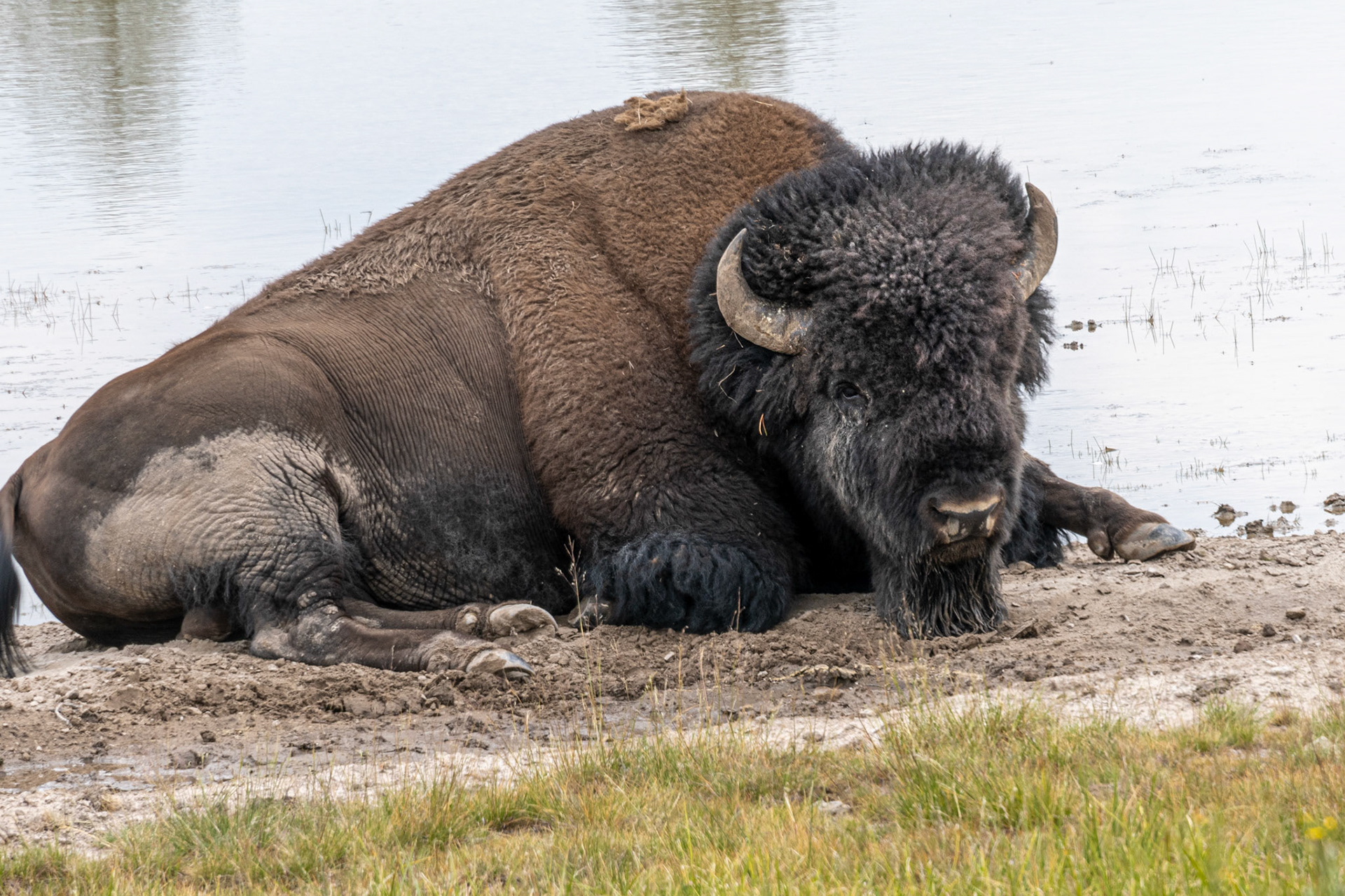 Views of Yellowstone lake Along Storm Point Nature Trail