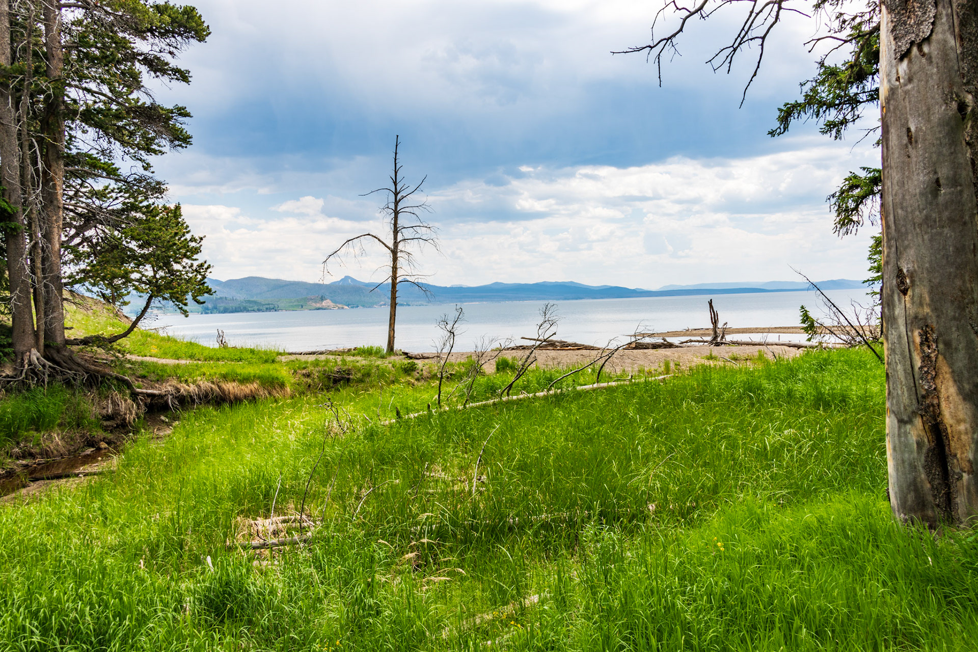 Views of Yellowstone lake Along Storm Point Nature Trail