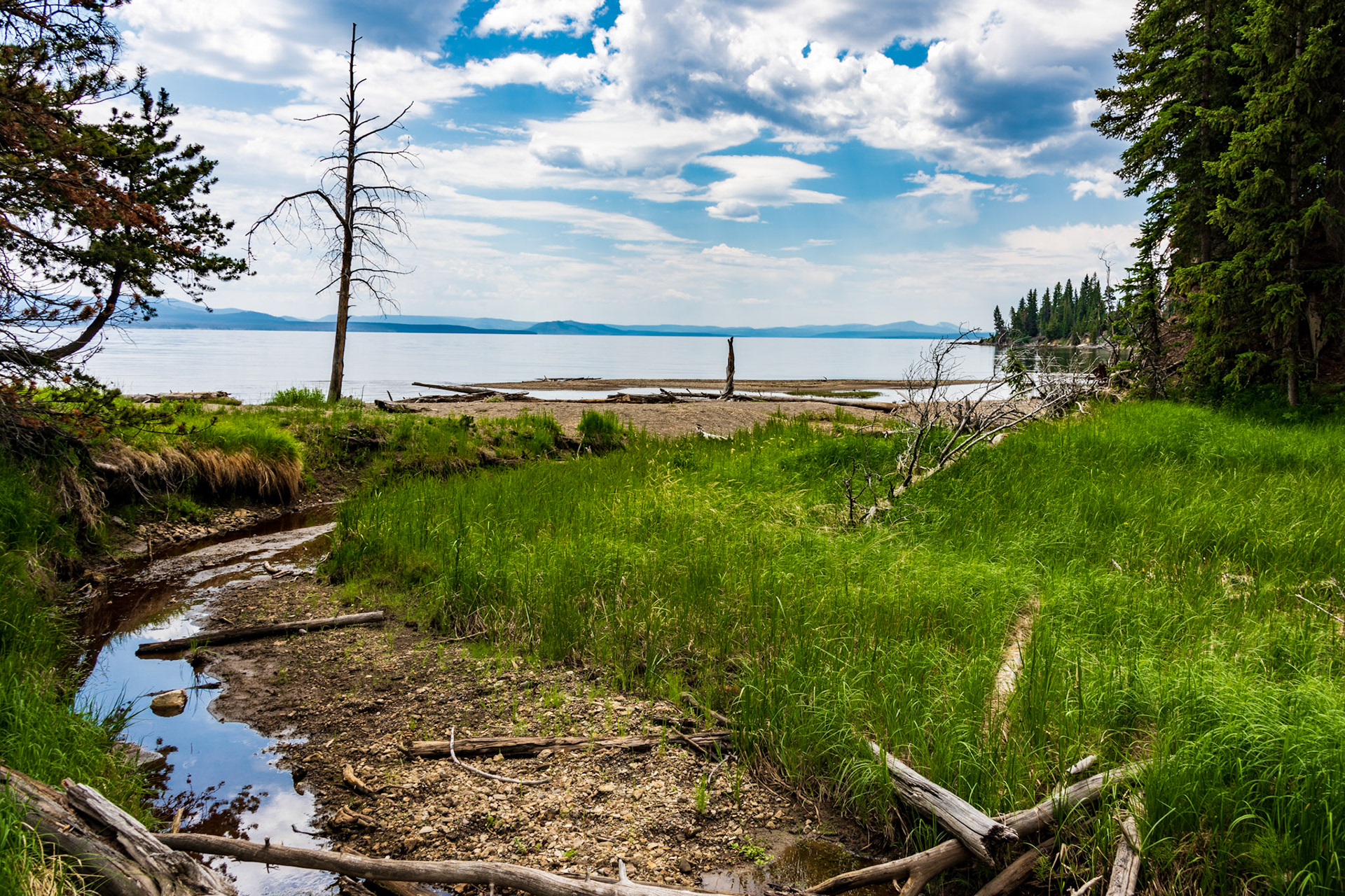 Views of Yellowstone lake Along Storm Point Nature Trail