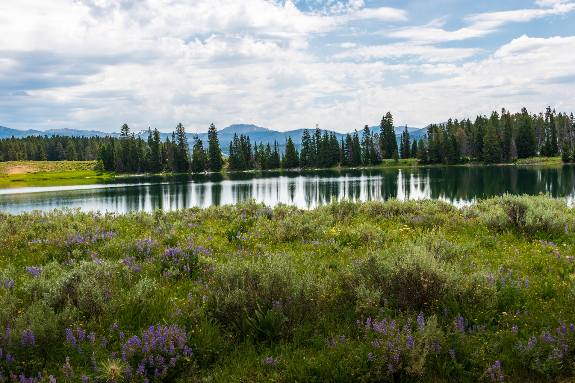 Views of Yellowstone lake Along Storm Point Nature Trail