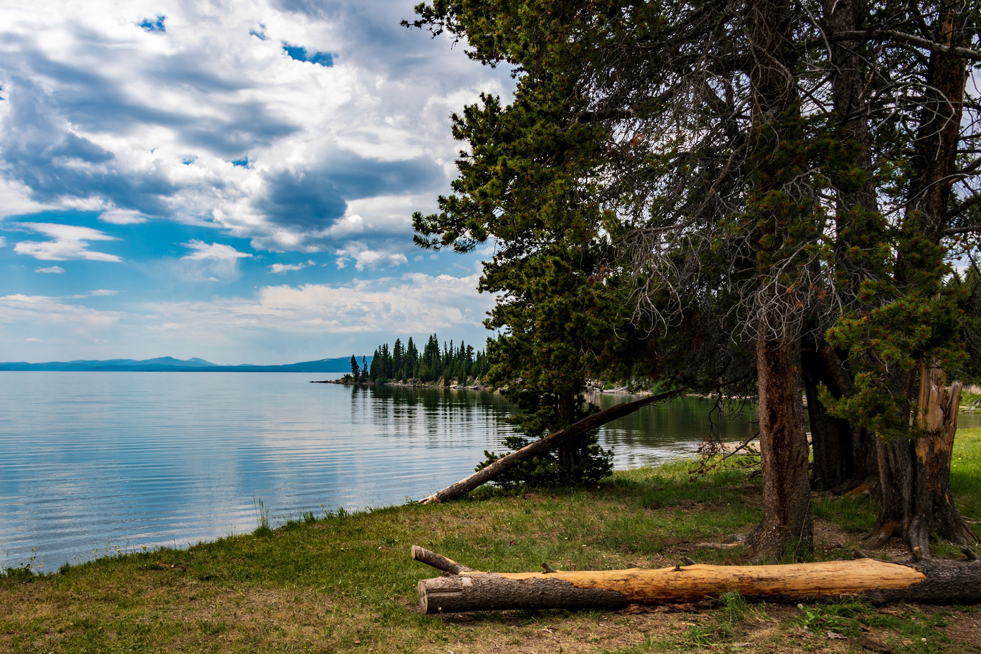 Views of Yellowstone lake Along Storm Point Nature Trail
