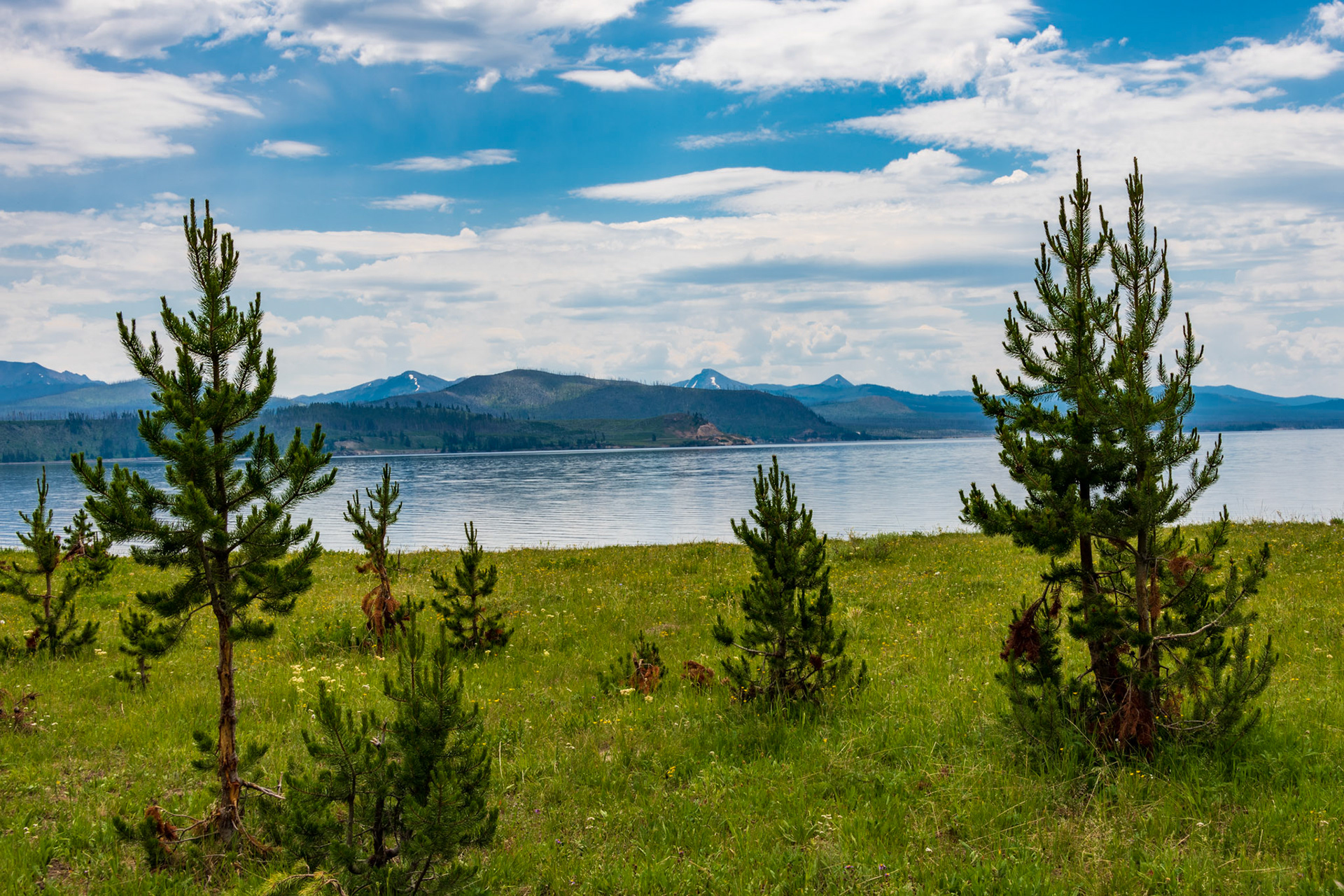 Views of Yellowstone lake Along Storm Point Nature Trail