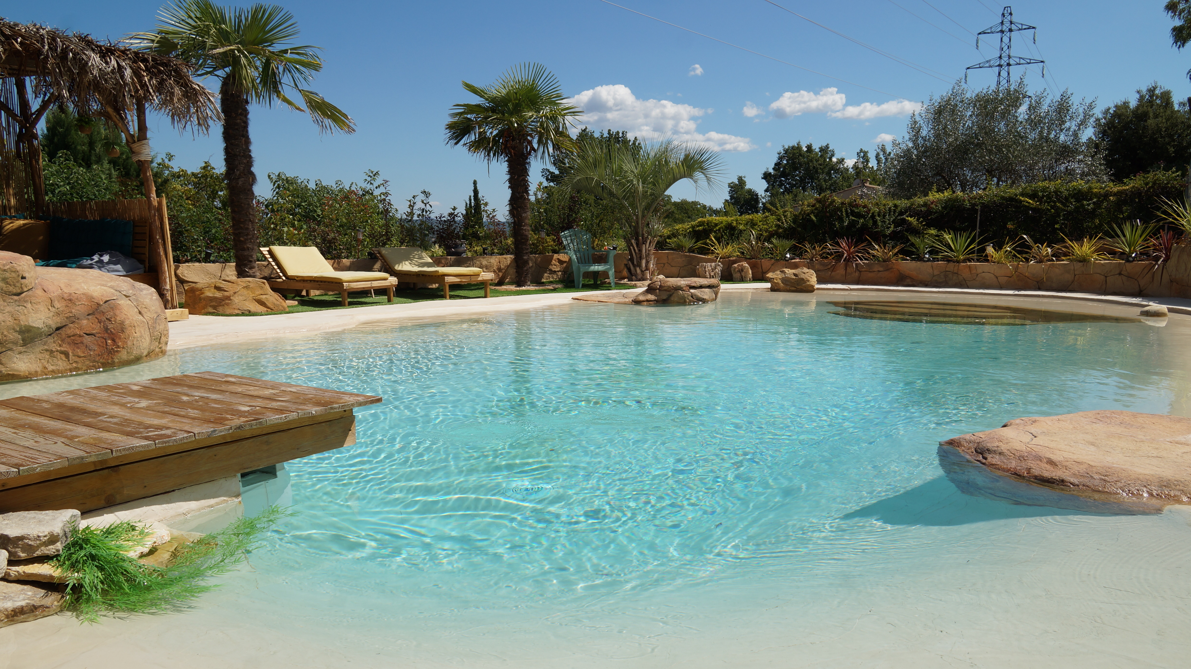 Vue sur le coin palmiers et transats