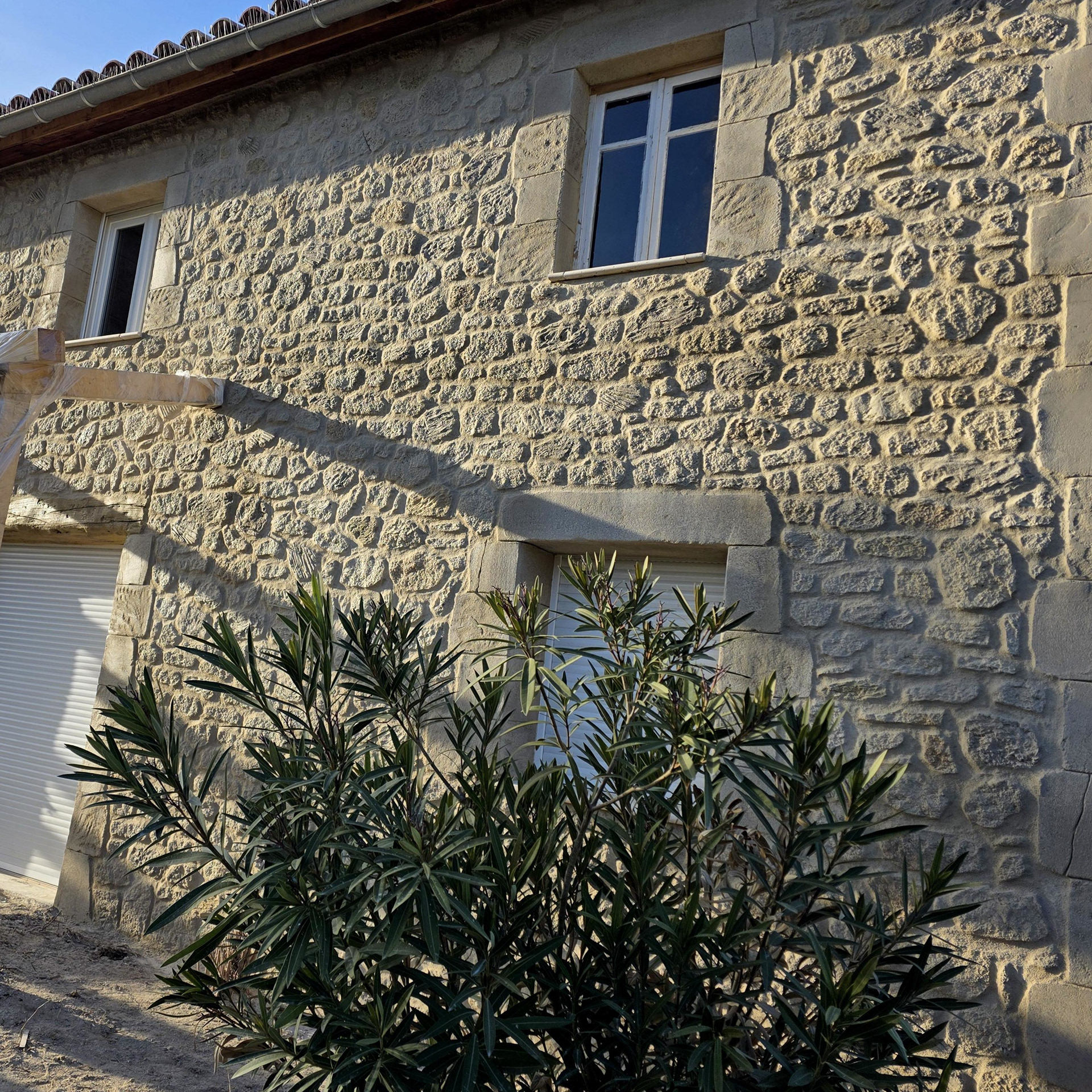 Vue côté droit de la face