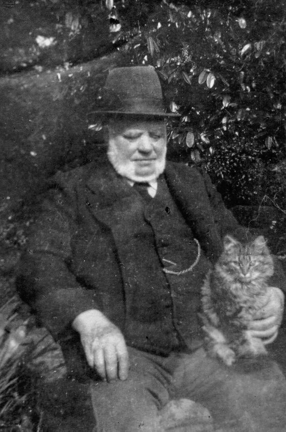 Great Grandfather Comins