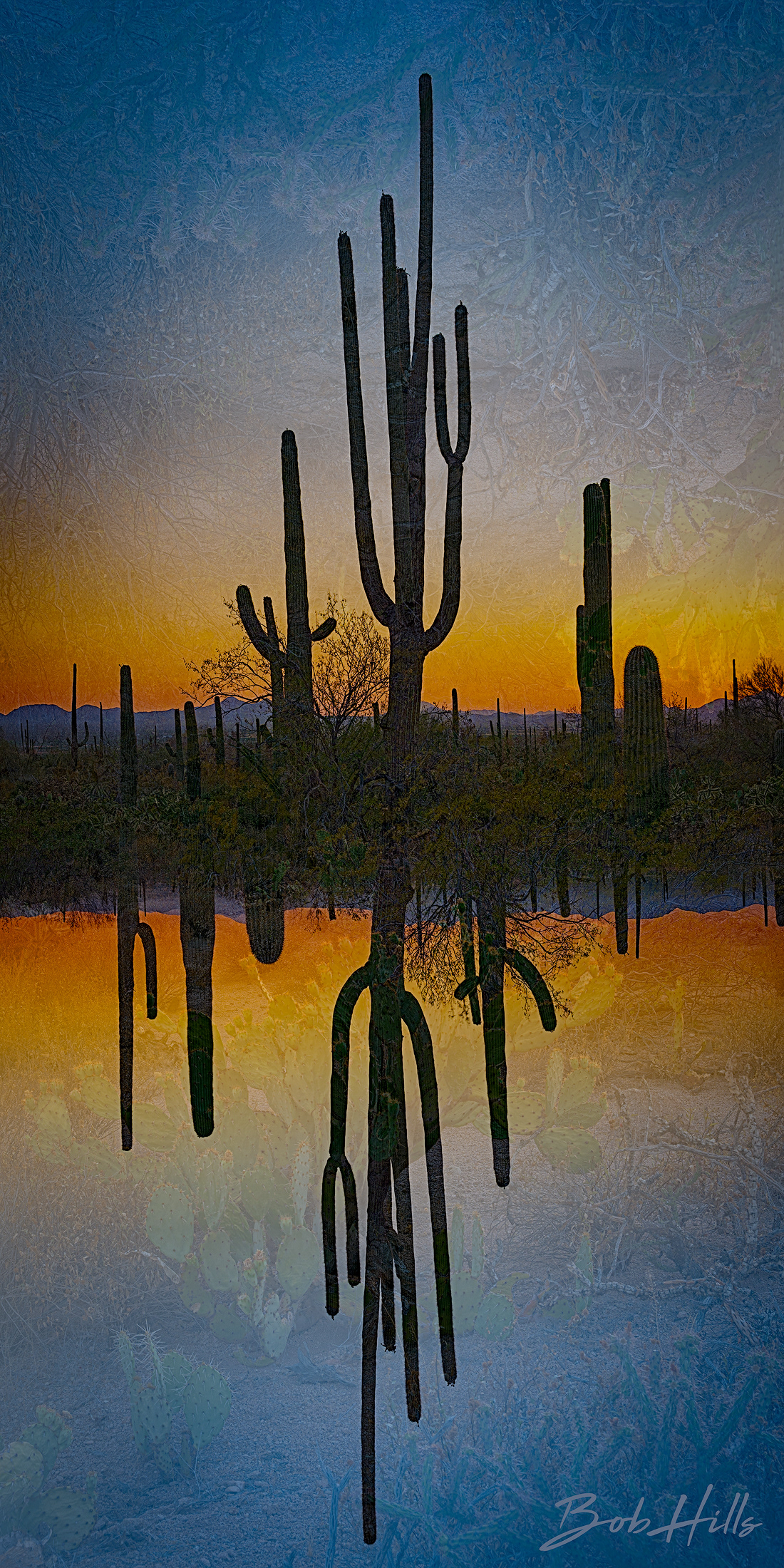 Desert Inversions 5311