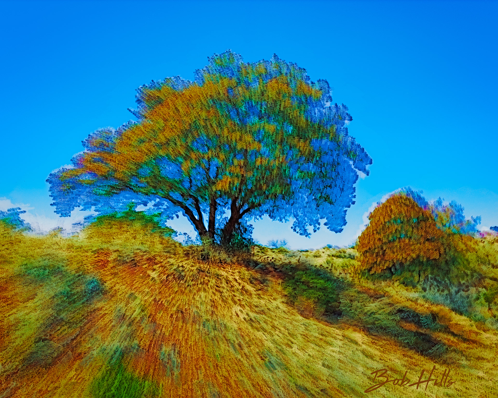 Van Gogh's Tree