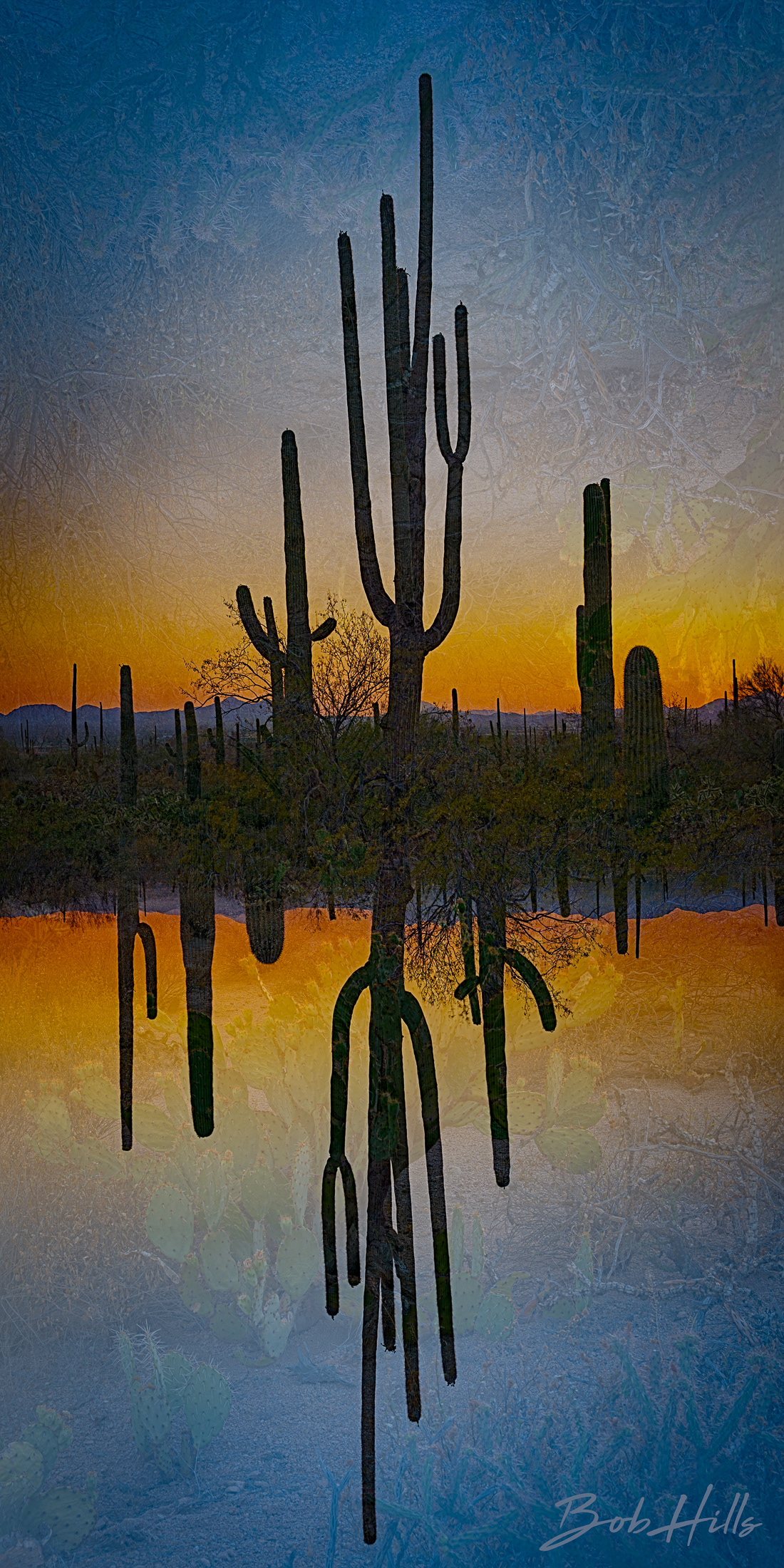 Desert Inversion ME 5311