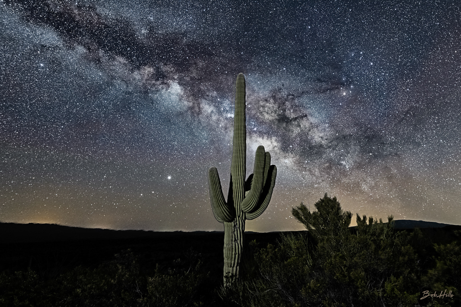 Solo Saguaro with Milky Way No 3