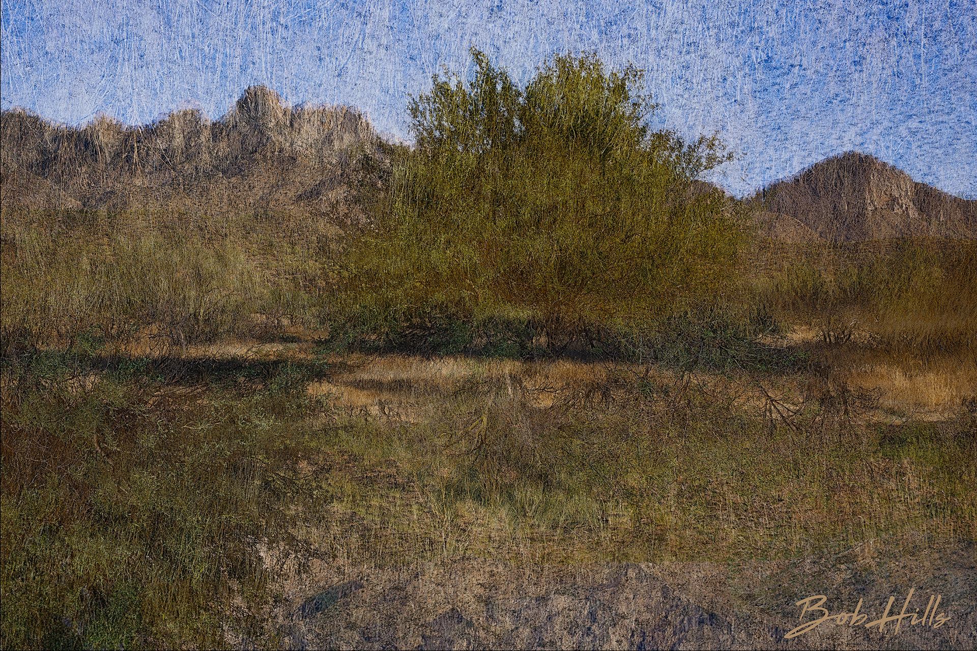 Desert Inversions 5430