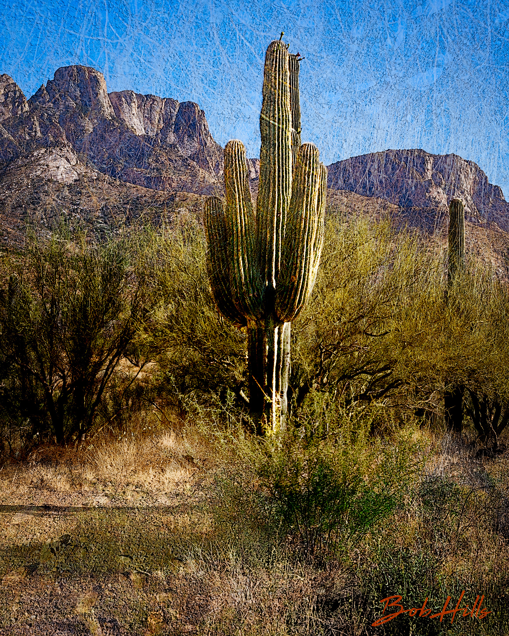 Desert Inversions 5362