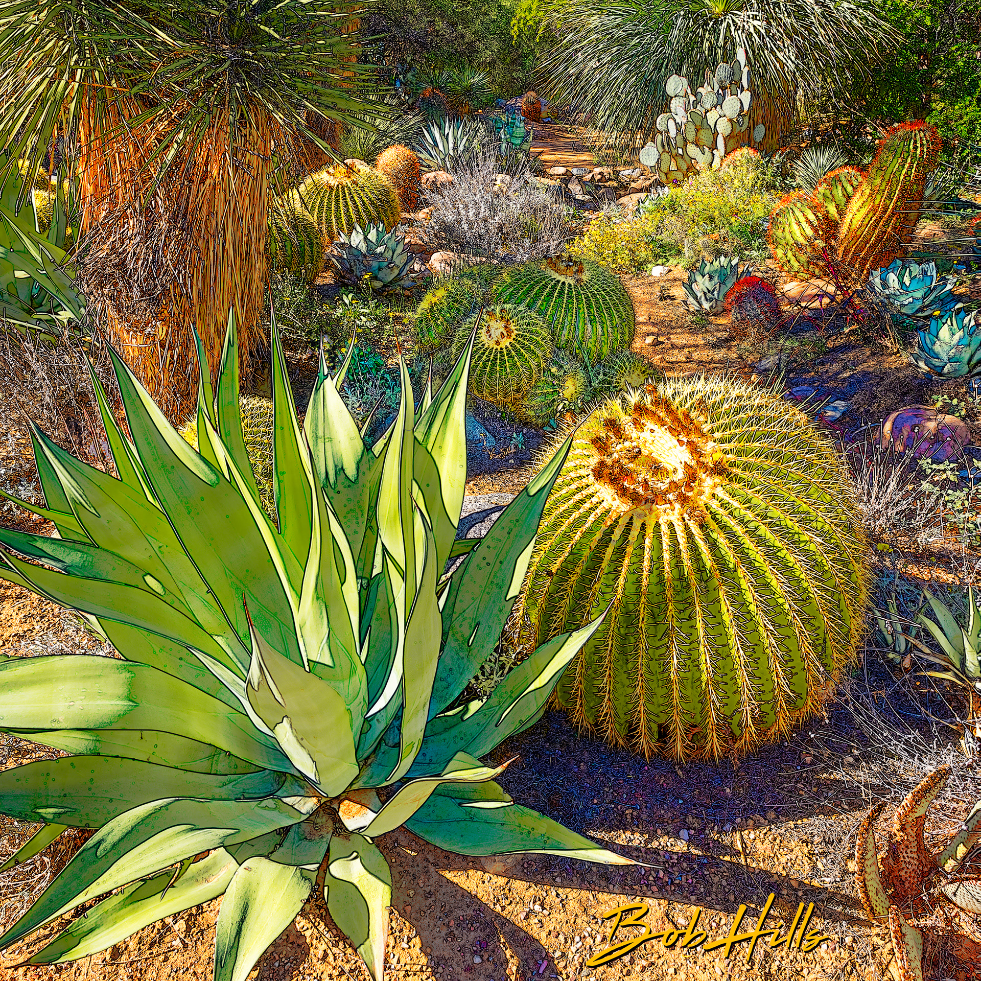 Sonoran Garden - 40  S