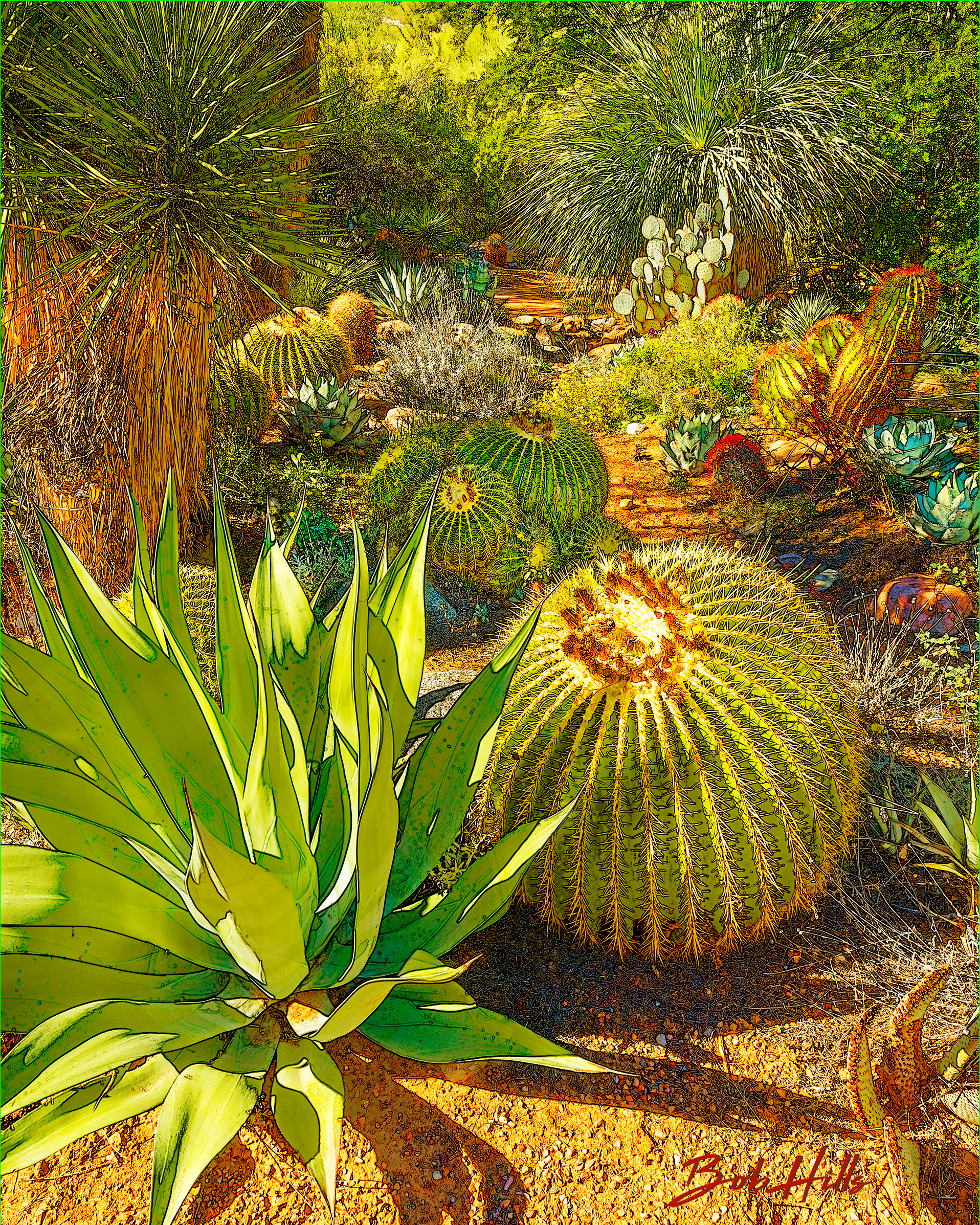 Sonoran Garden - 40