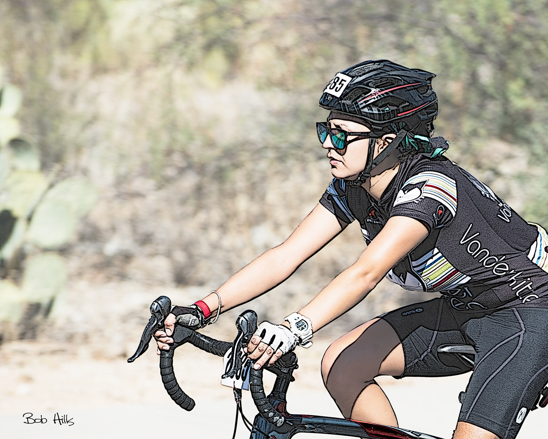 Tour de Tucson Dreamer