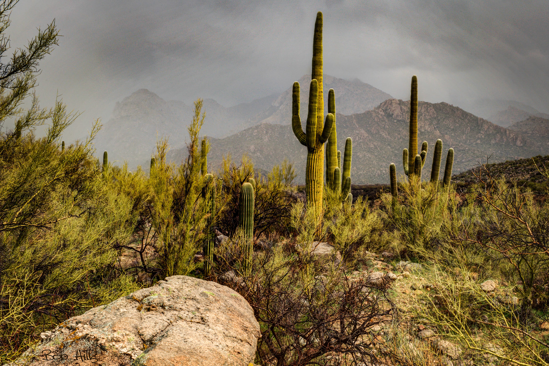 Catalina Winter Storm 3