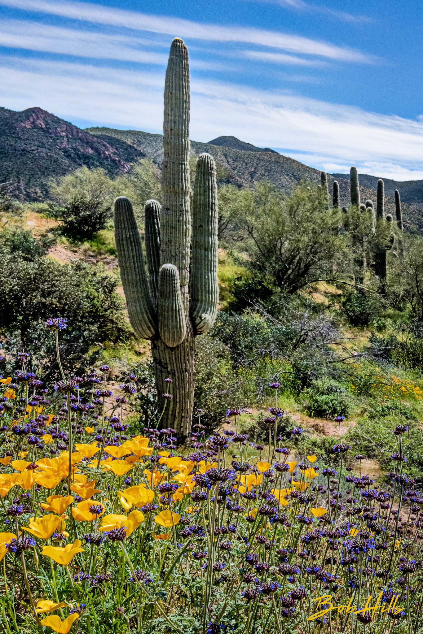 Along Flo-Kel Highway