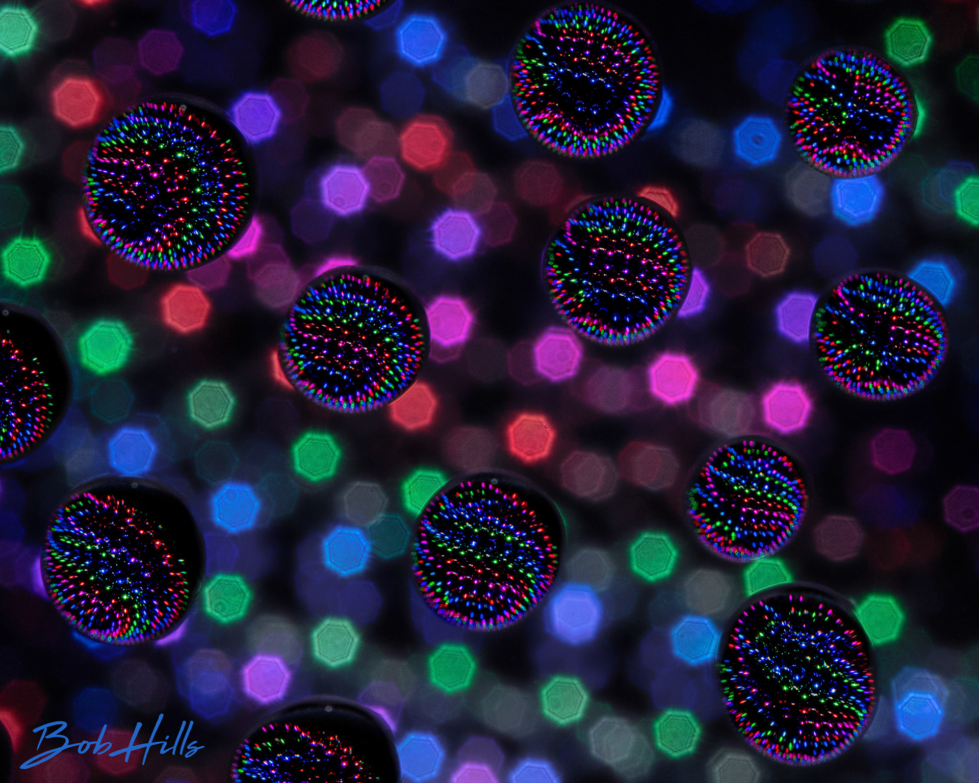 Party Bead Necklaces