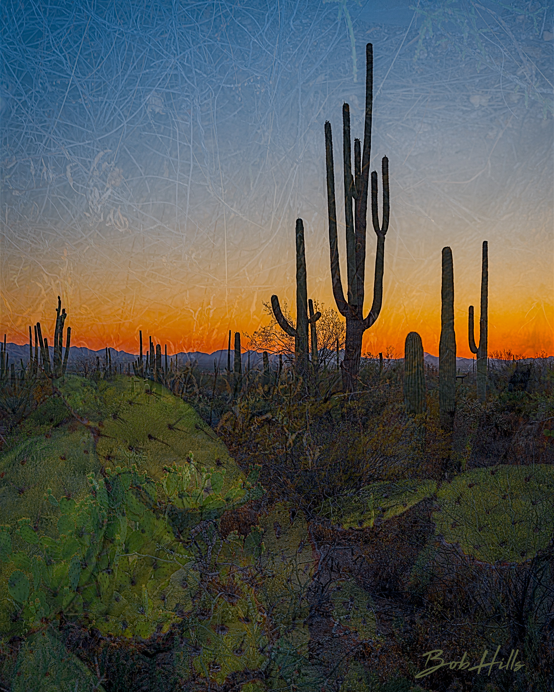 Desert Inversion ME 5305