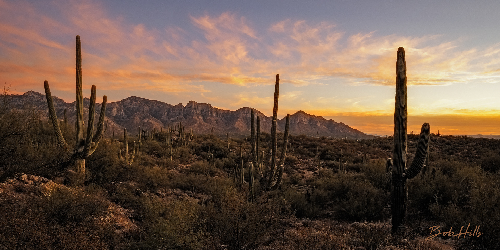 Catalina Mountains from Honeybee Canyon Park