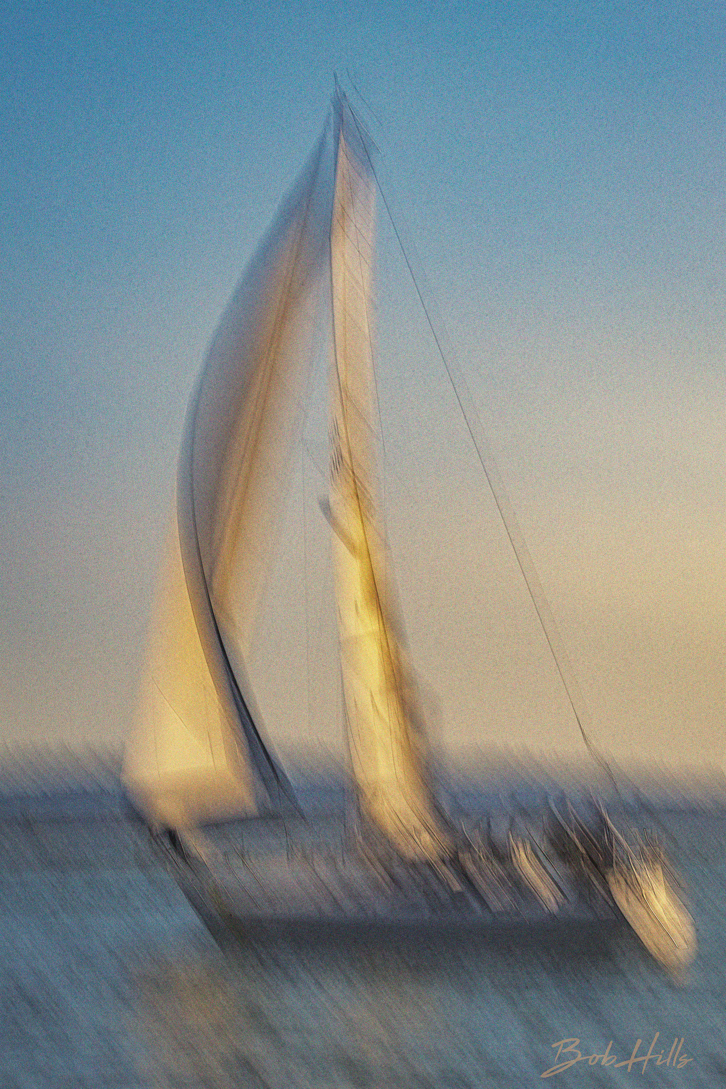 Regatta 6359