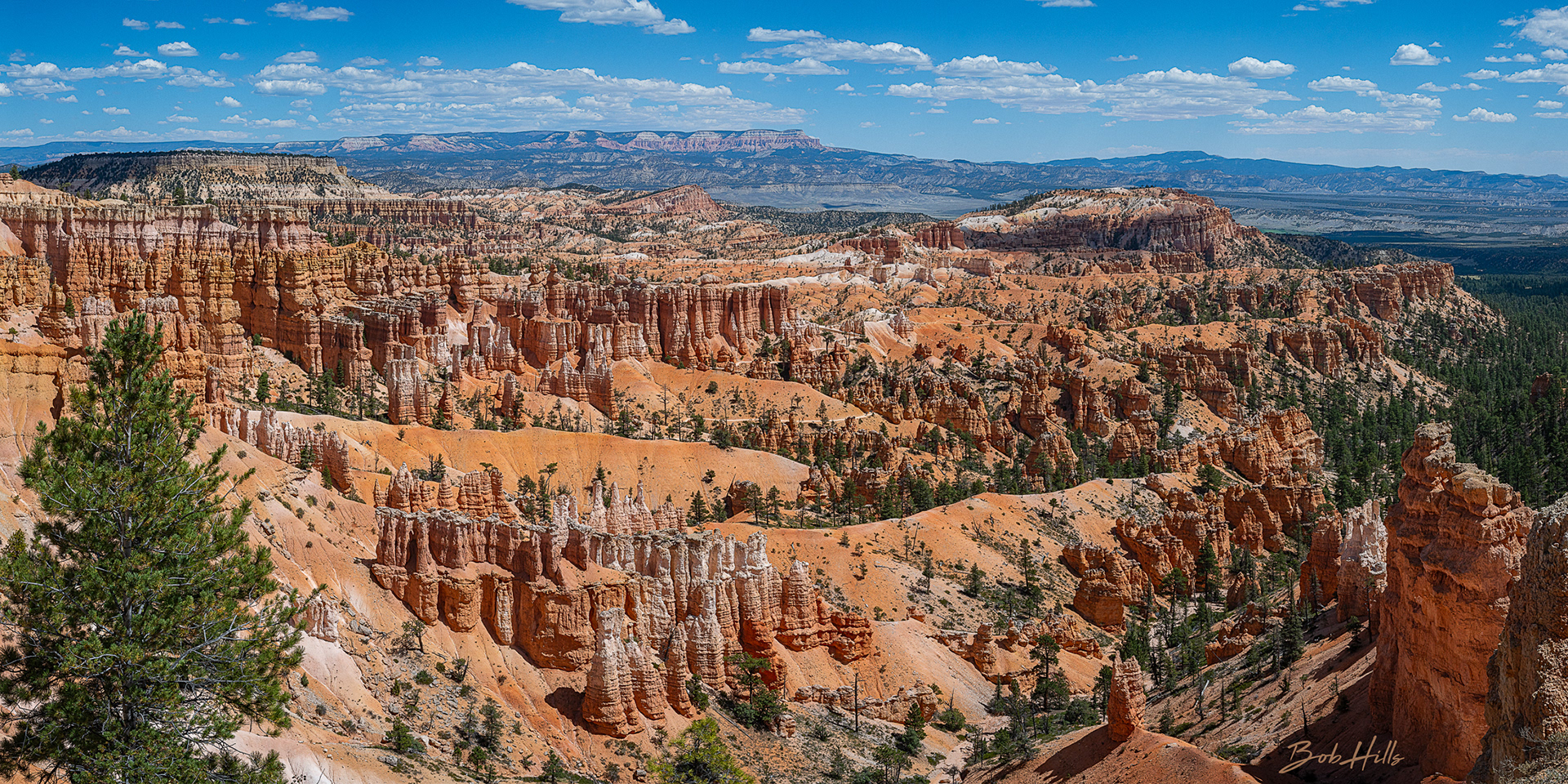 Bryce Canyon Pano
