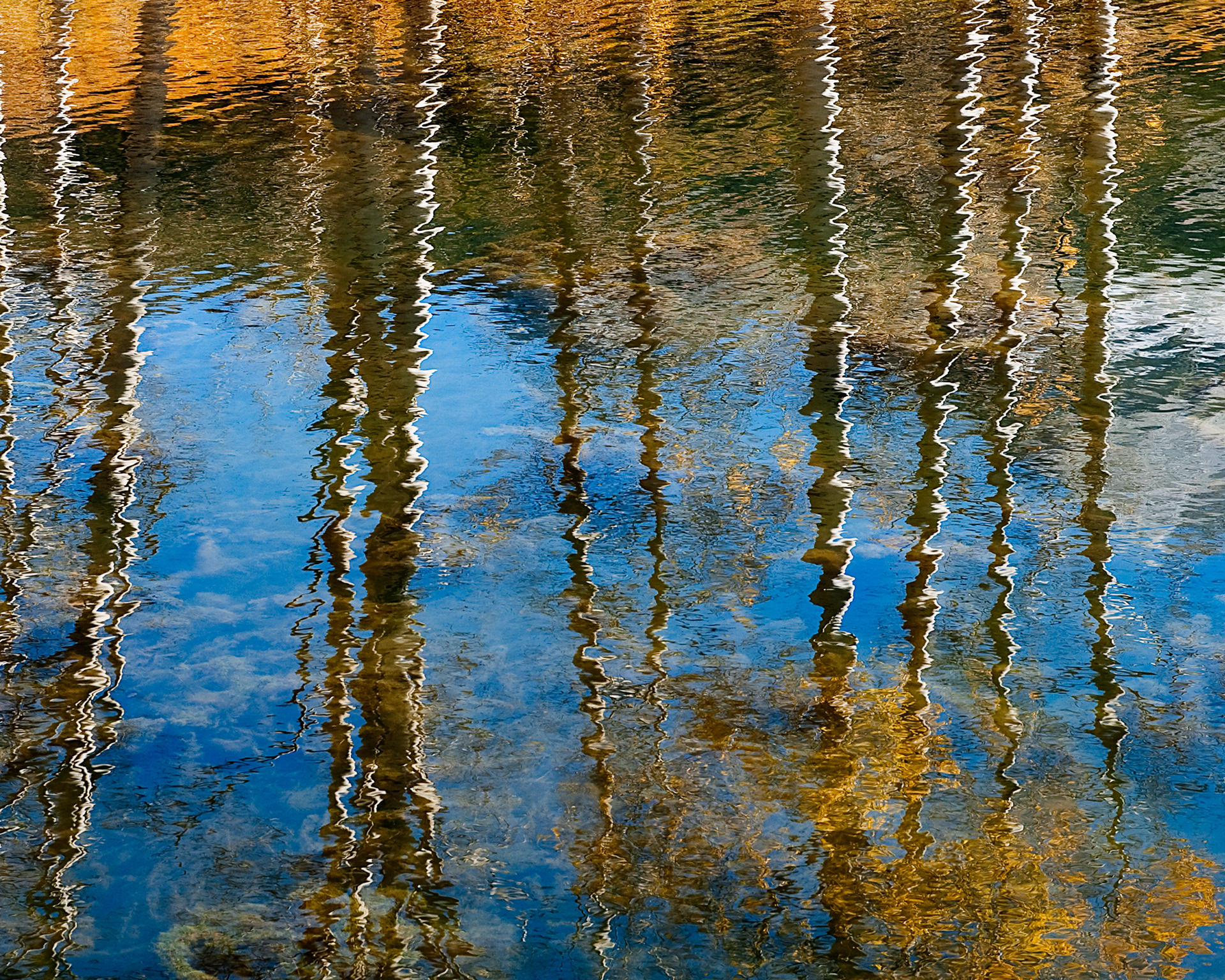 Colorful Reflections