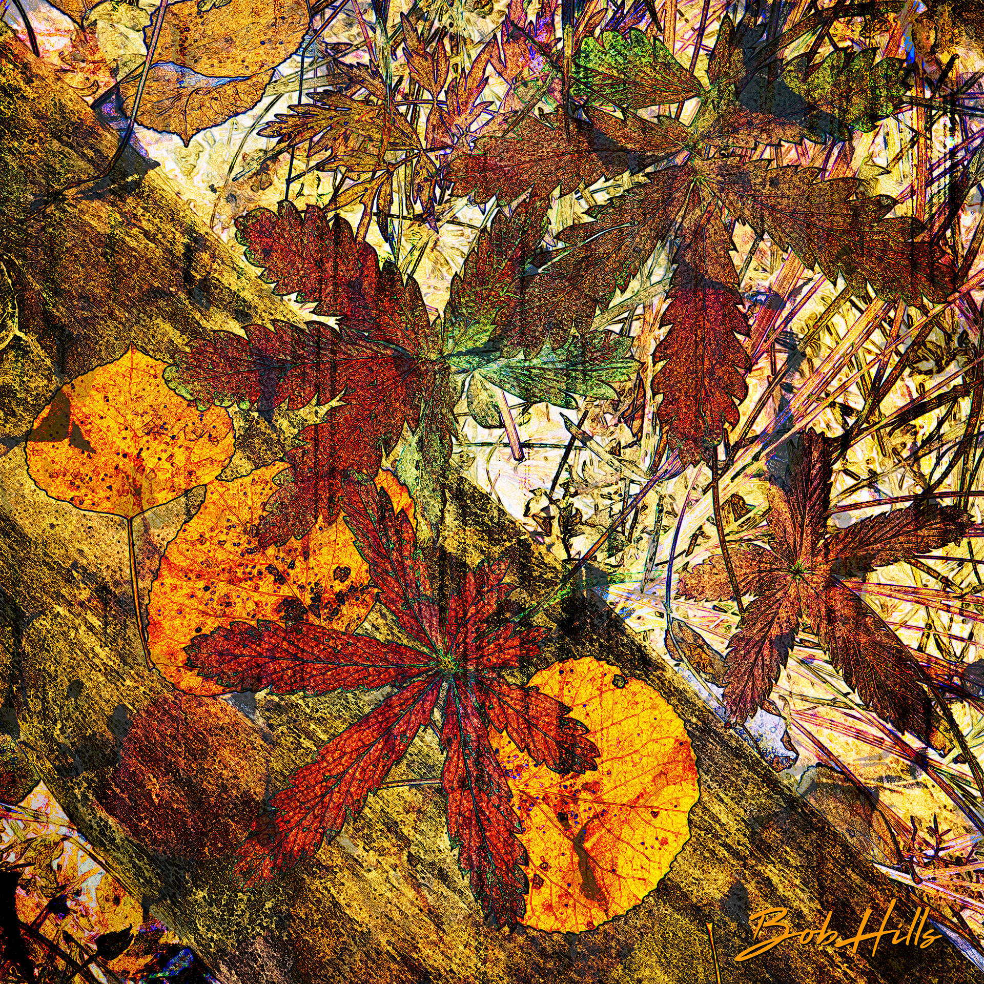 Leaves on a Log Abstract