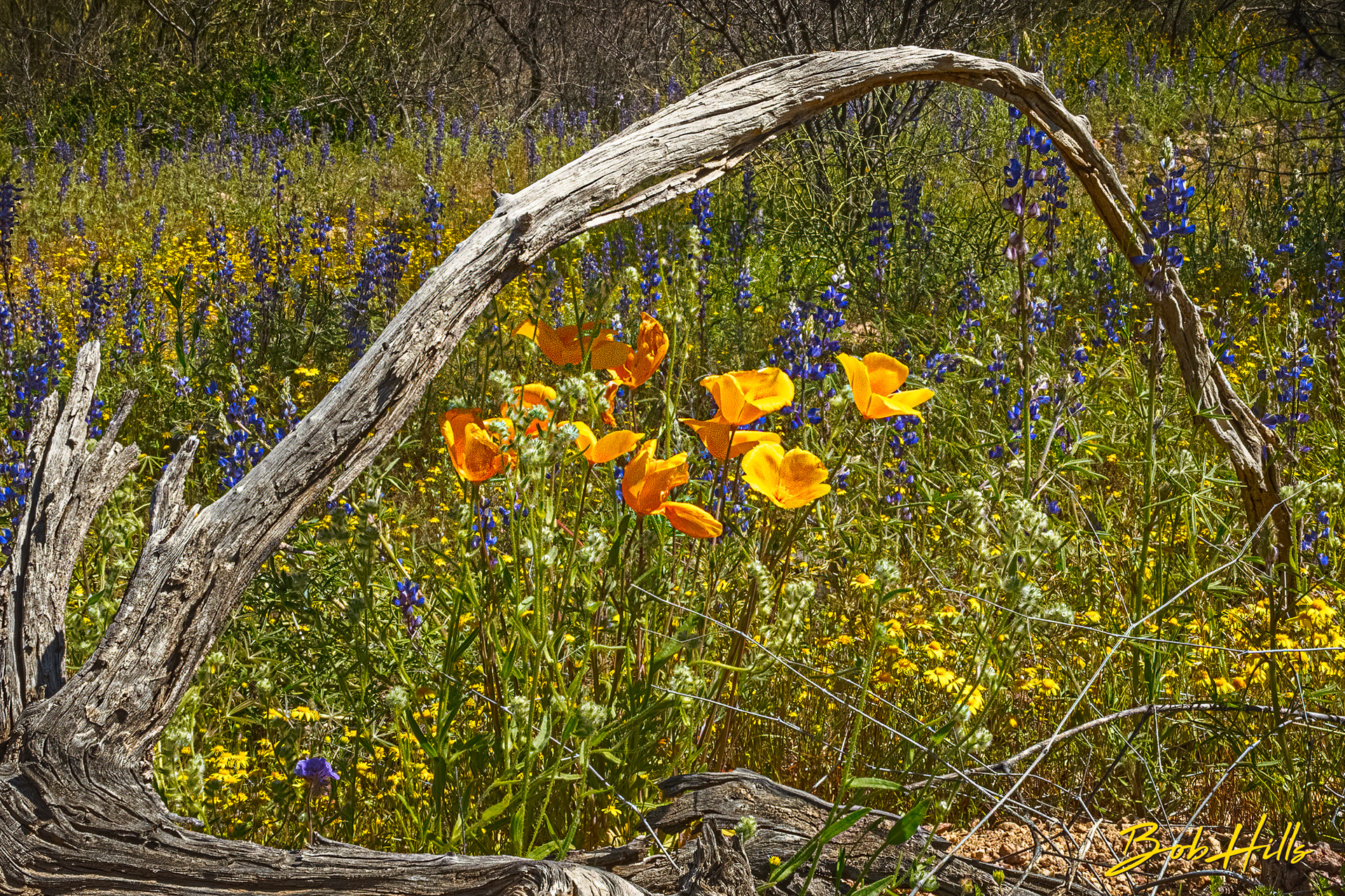 Fallen in Wildflowers