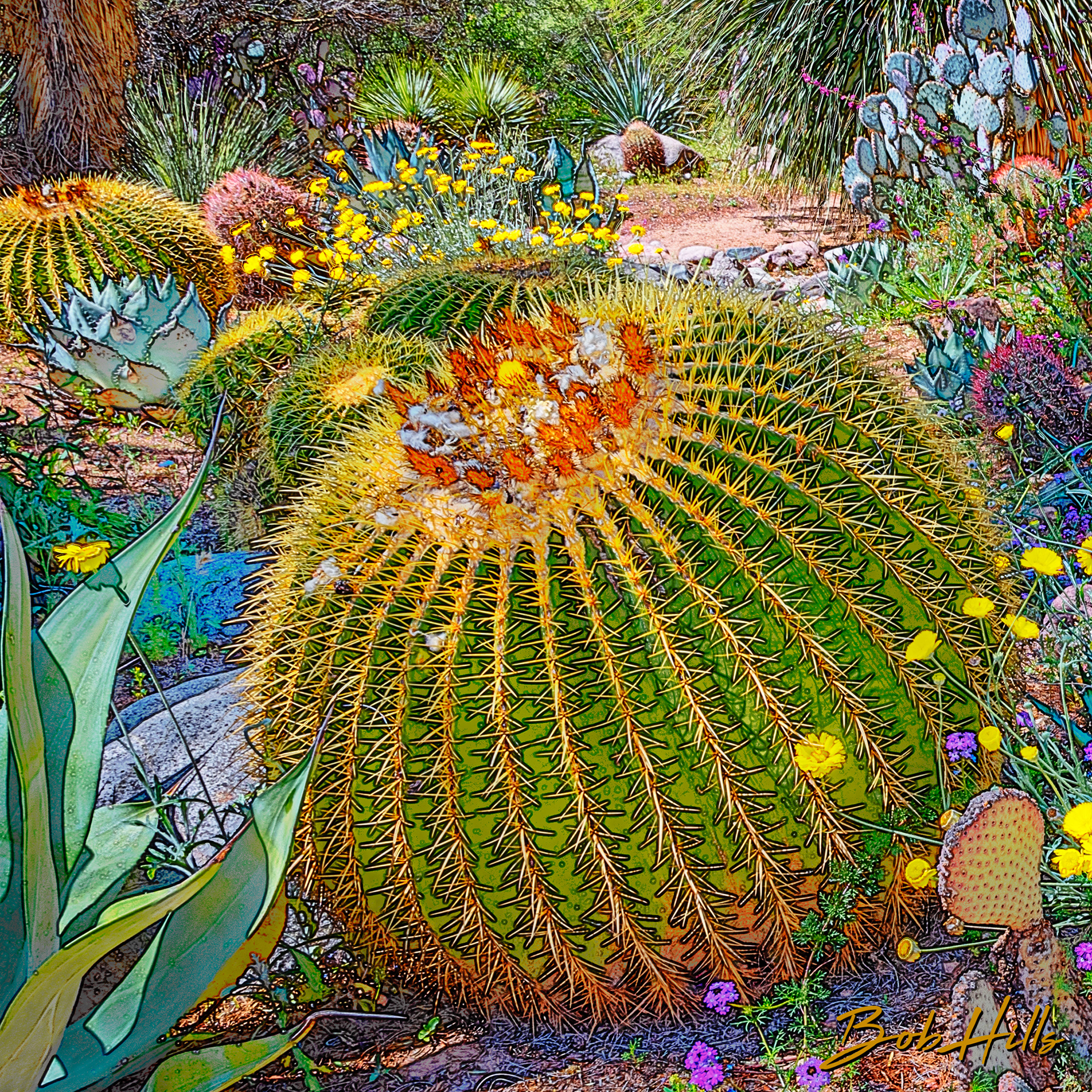 Sonoran Garden - 12 S