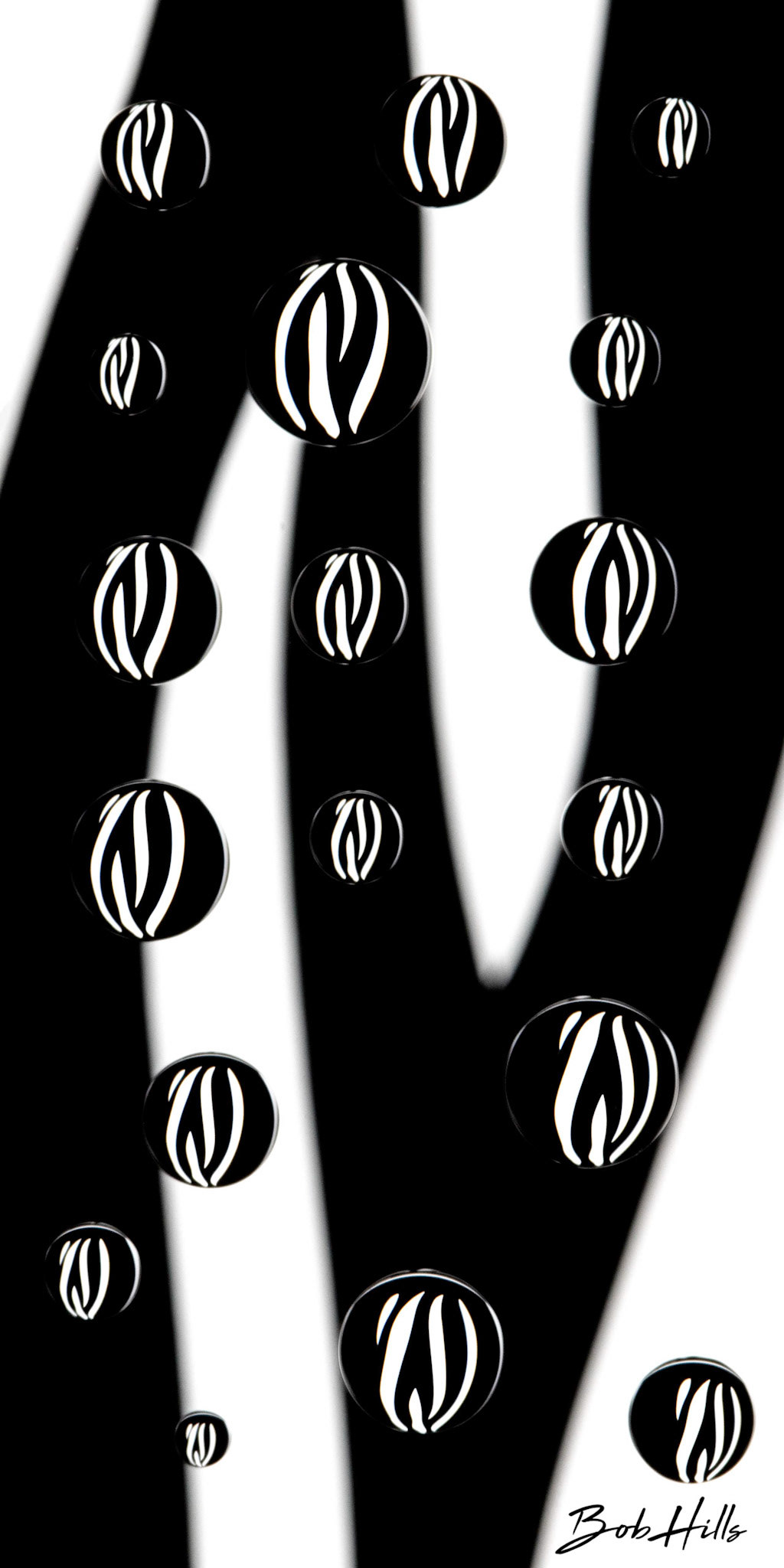 Black & White Abstract