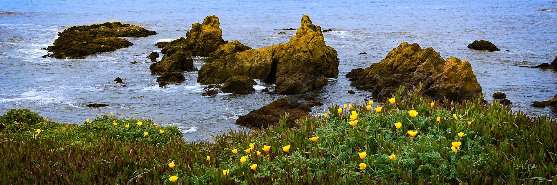 MacKerricher State Park 5