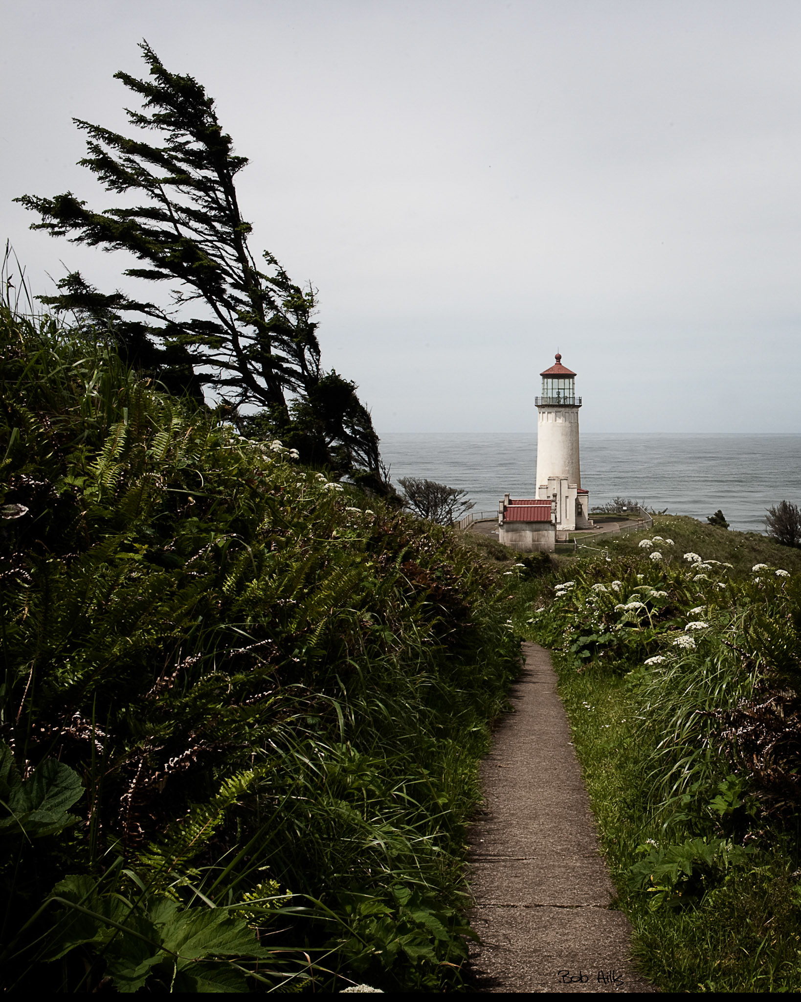 Cape Disappointment 1
