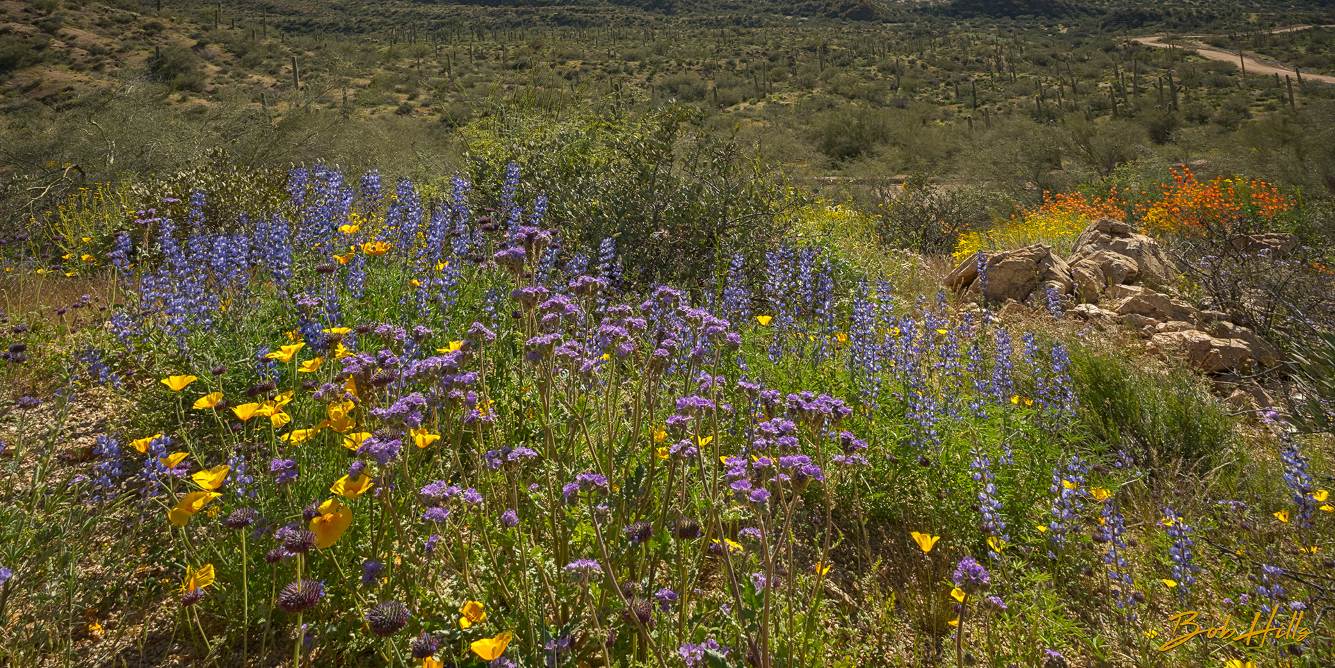 Overlook on Flo-Kel Highway