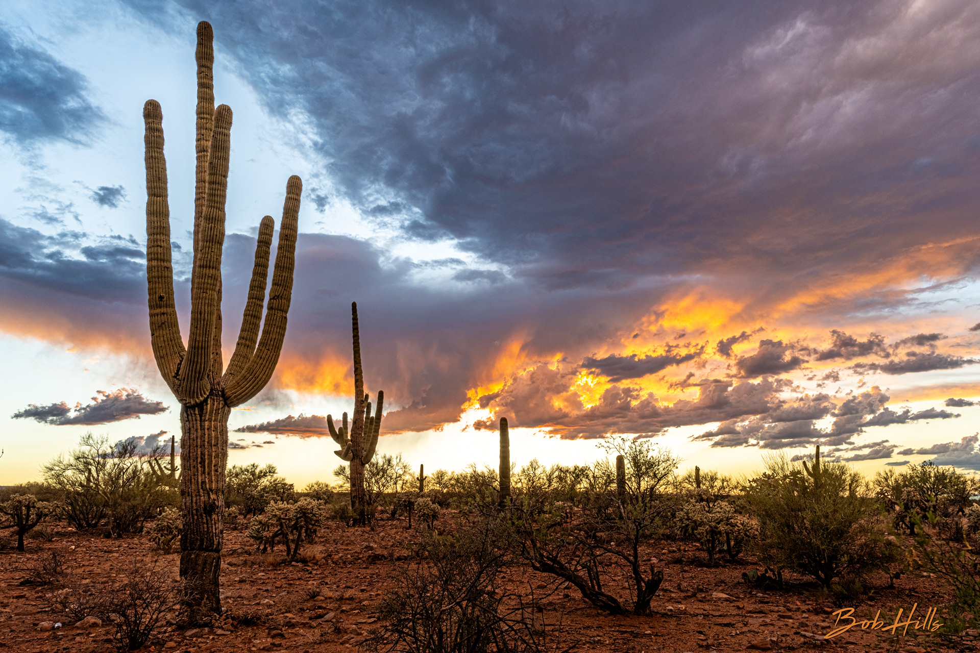 Smoldering Desert Sky