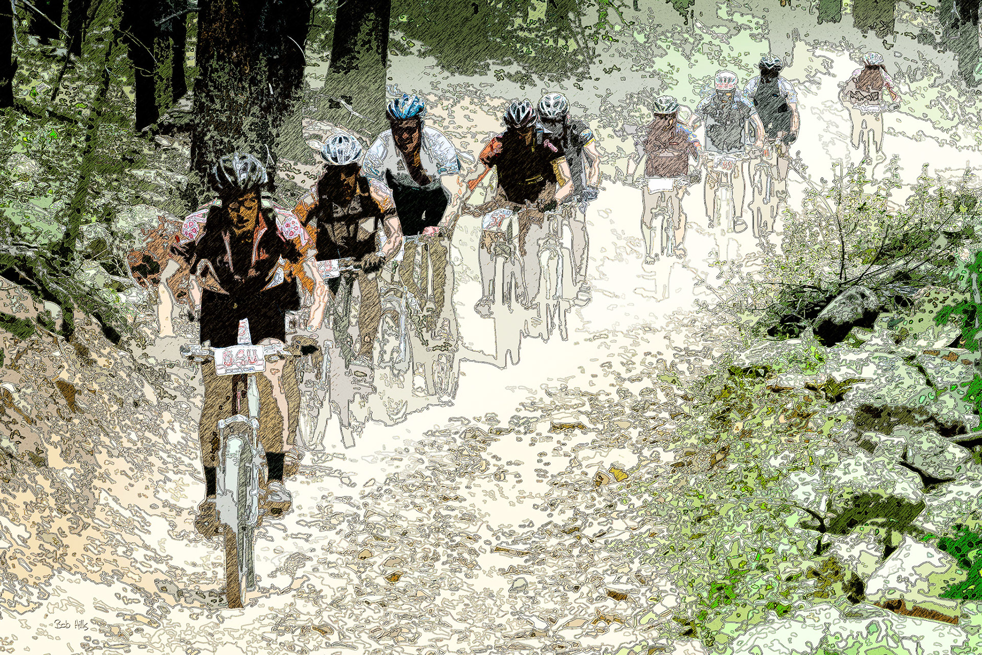 Mountain Bike Race