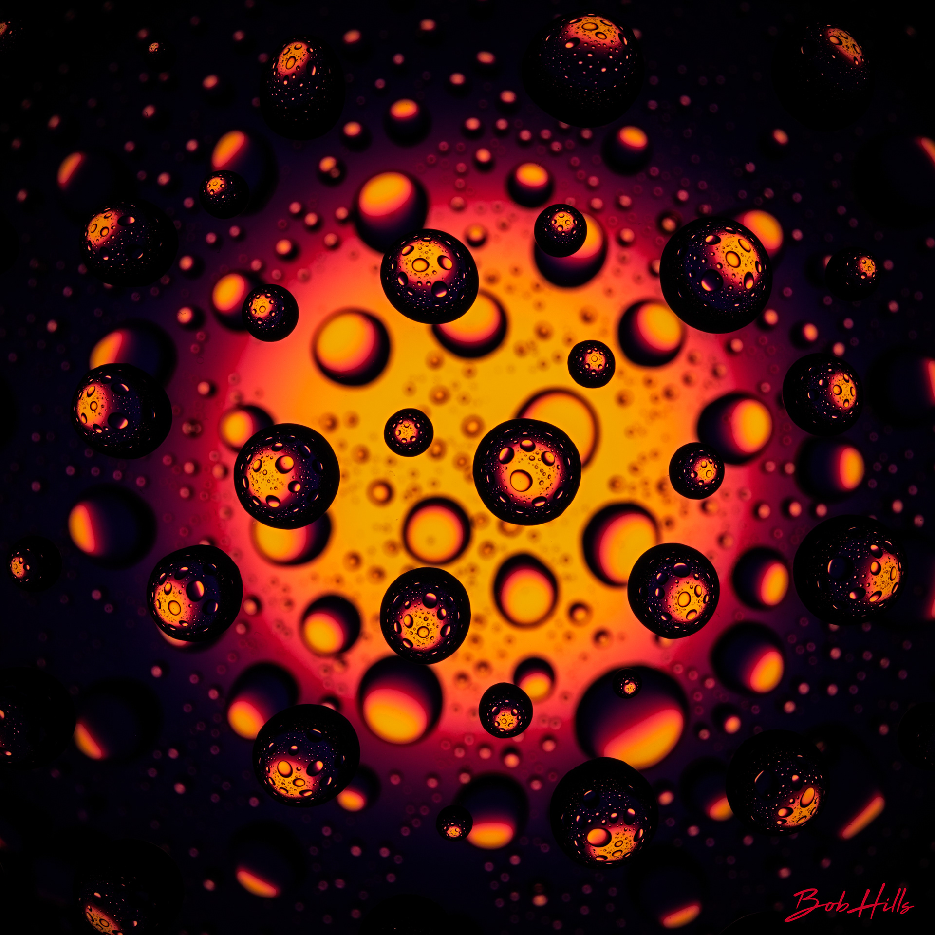 Orange Constellation