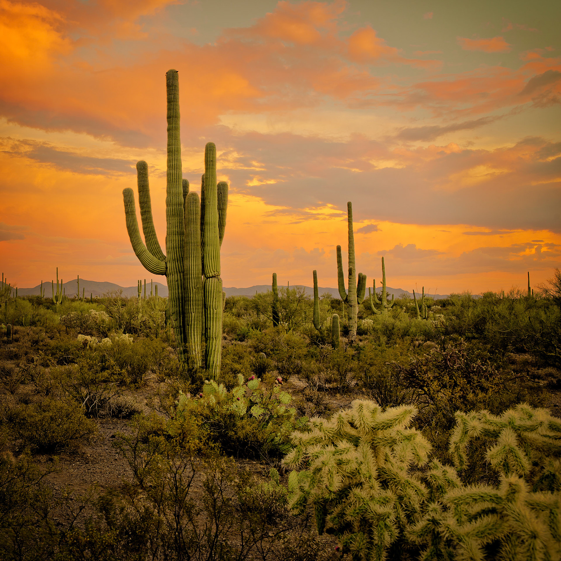 Overcast Desert Sunset