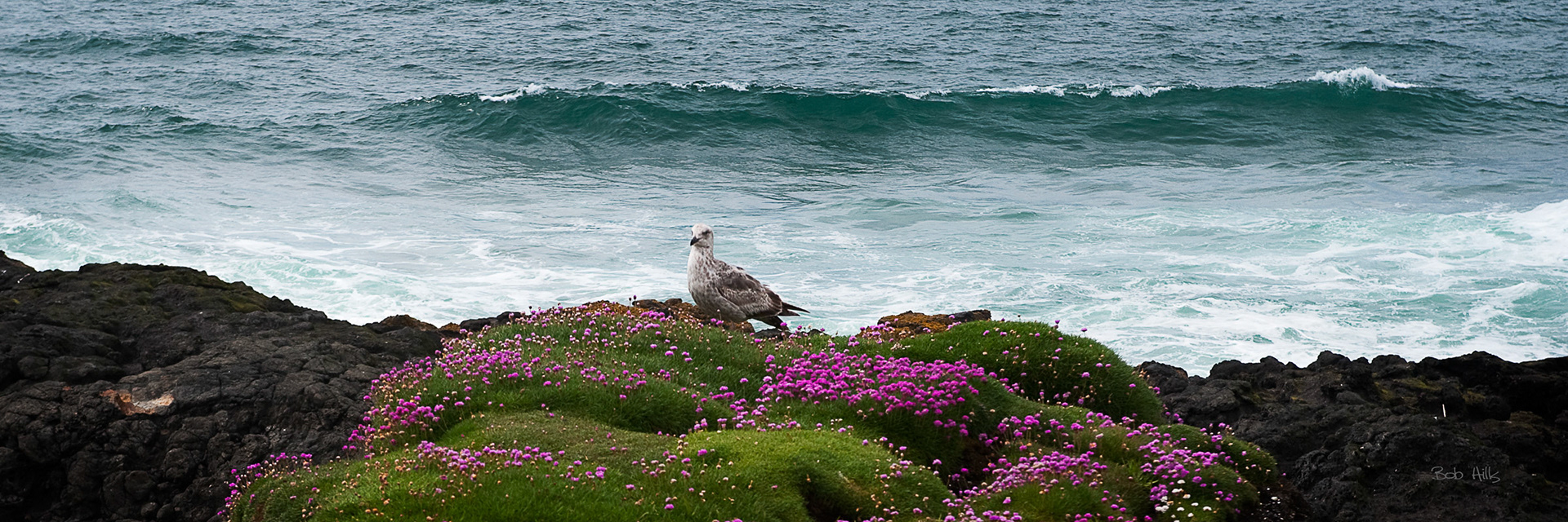 Yachats 6