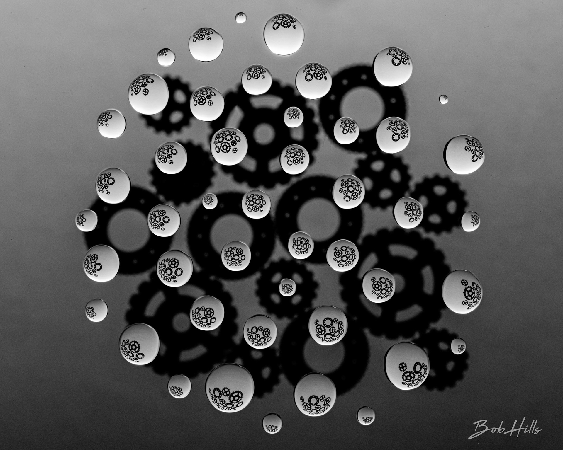 Gears in B&W