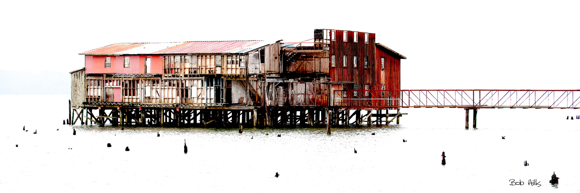 Cannery