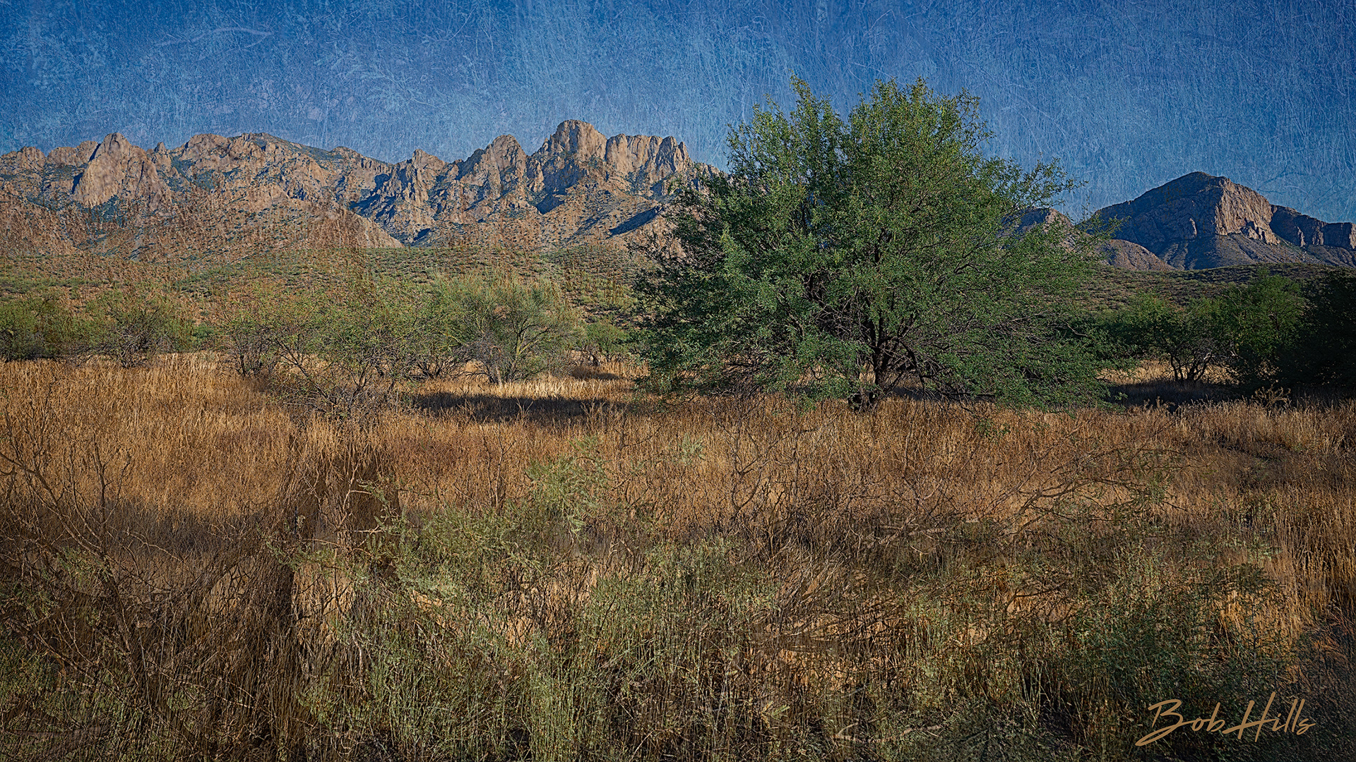 Desert Inversions 5434