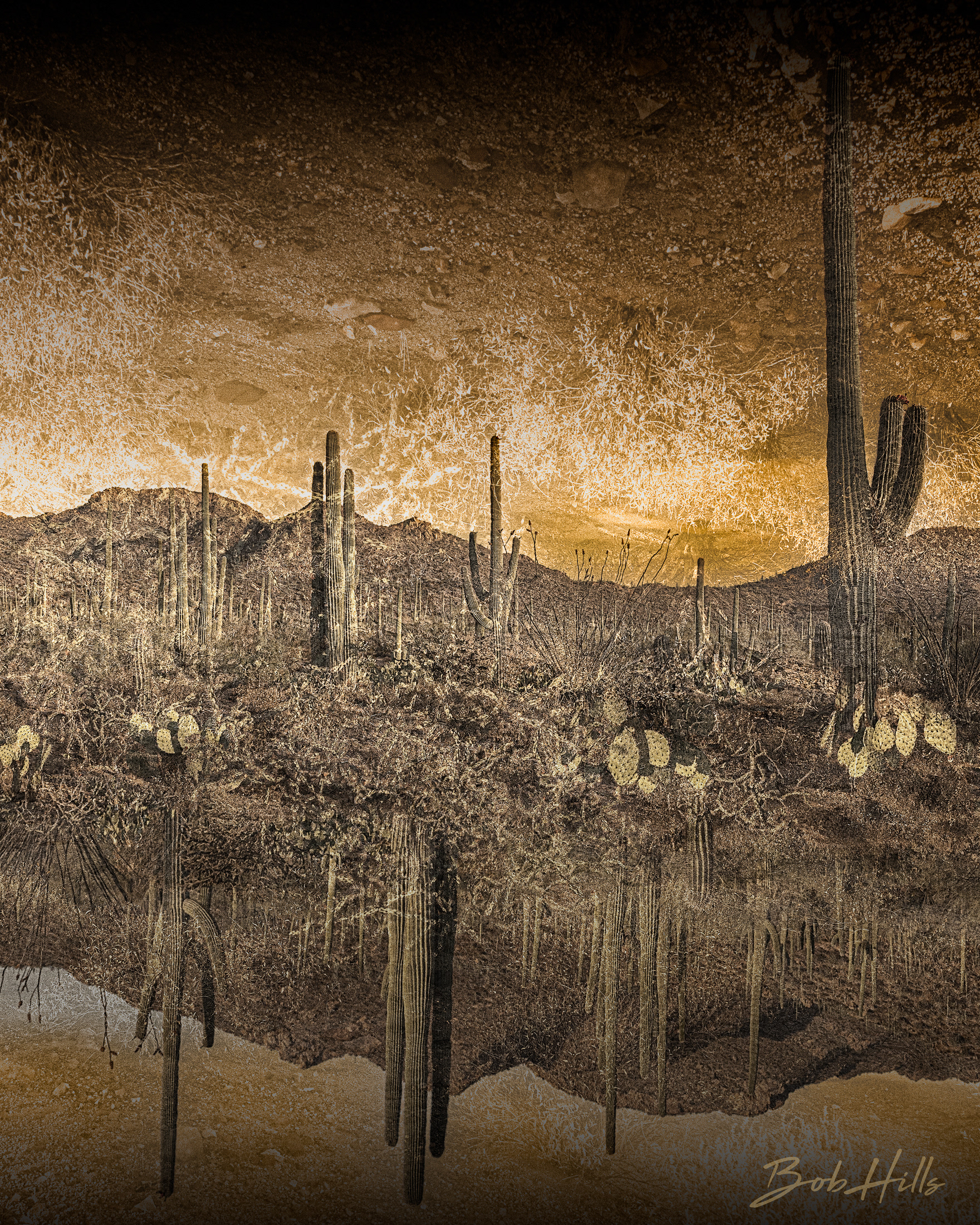 Desert Inversion ME 5273