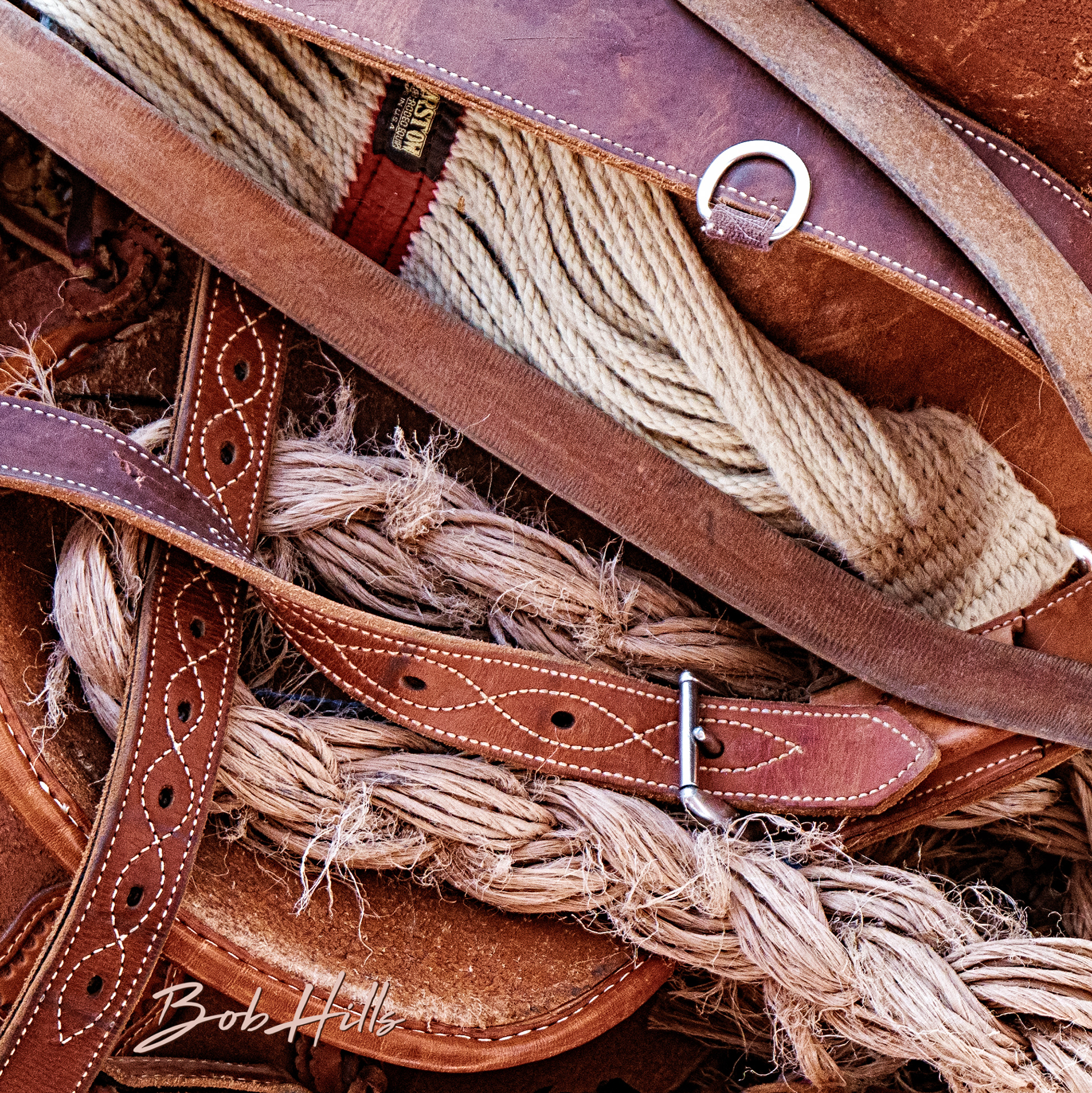 Rodeo - 13