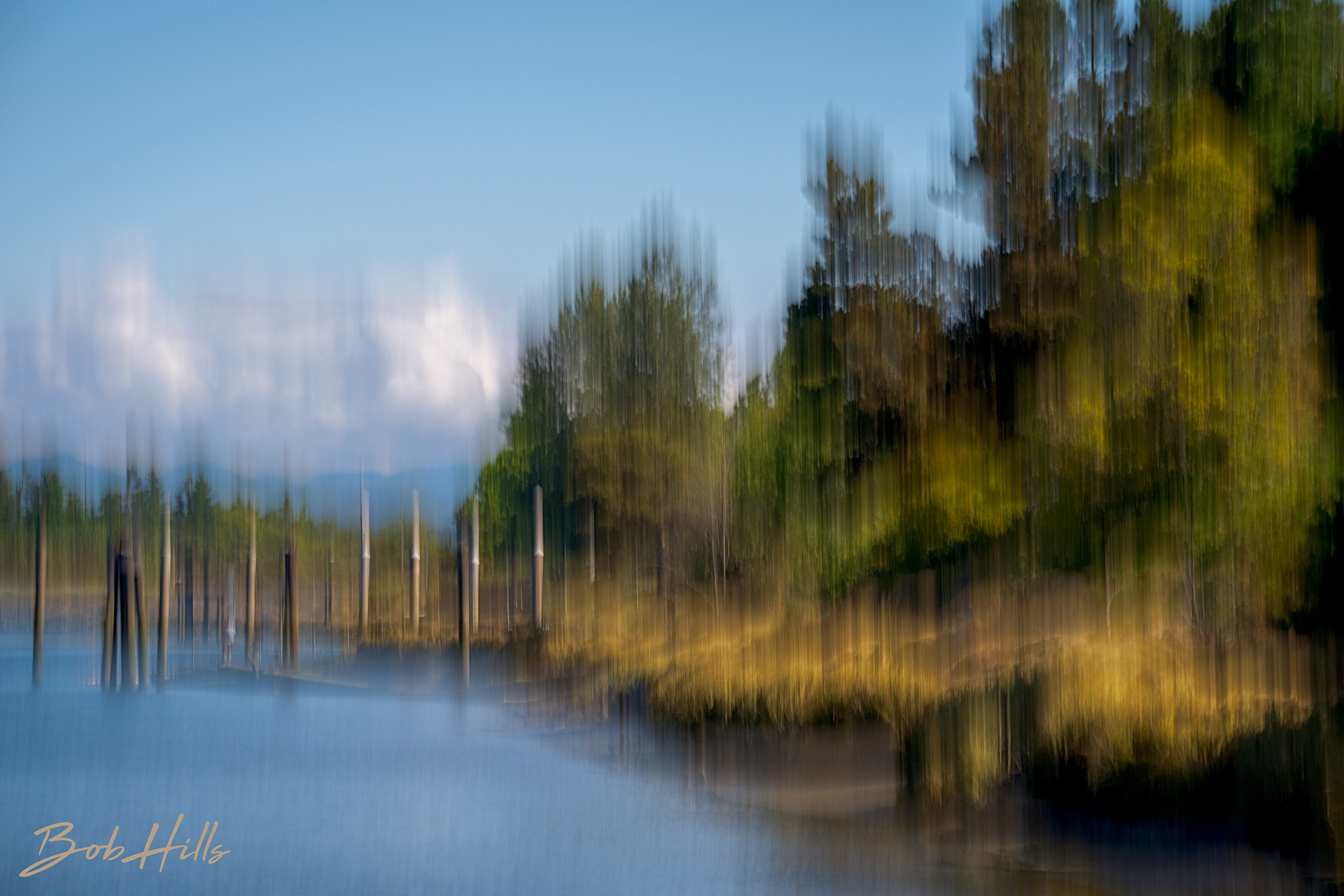 Snohomish River Bank