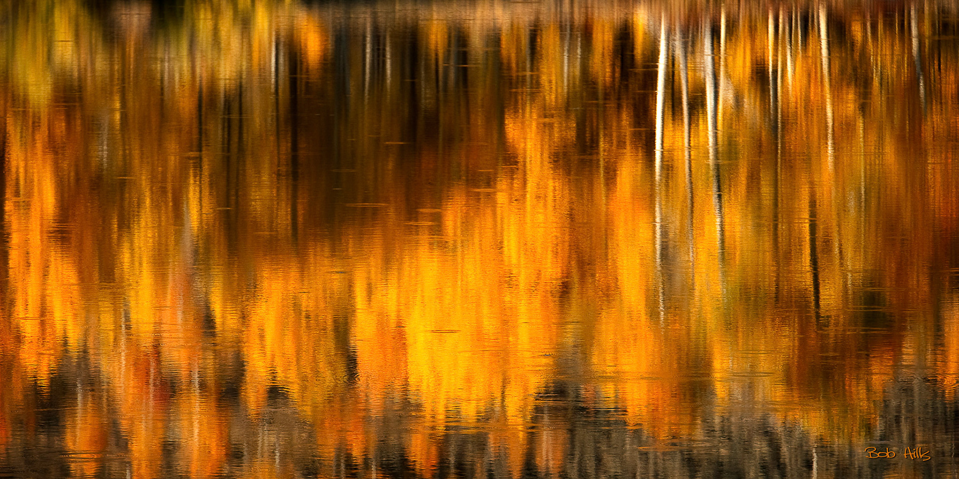 Ox Bow Reflection in Rain